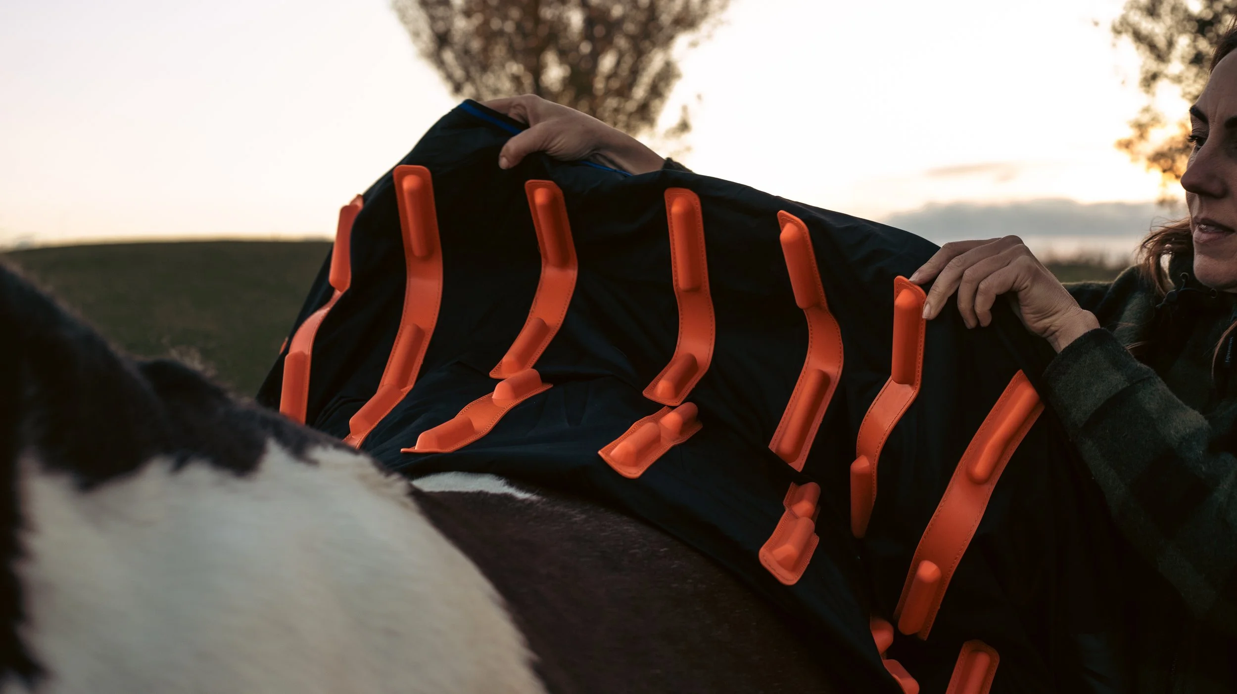 Person putting horse cover onto a horse's back, with a sunset sky and trees in the background.