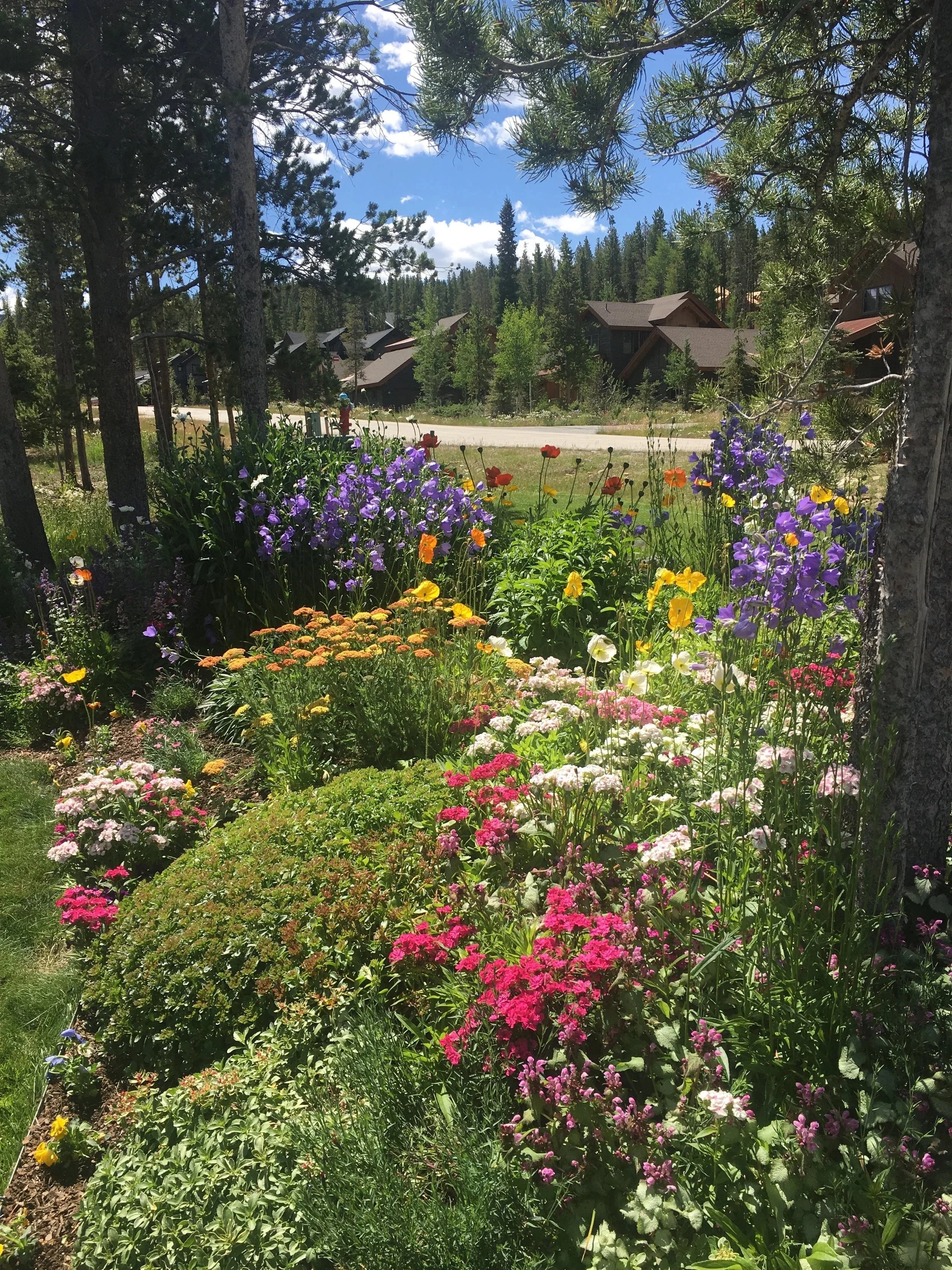 A colorful garden with various blooming flowers, surrounded by tall trees and a scenic view of houses in the background, under a partly cloudy sky.