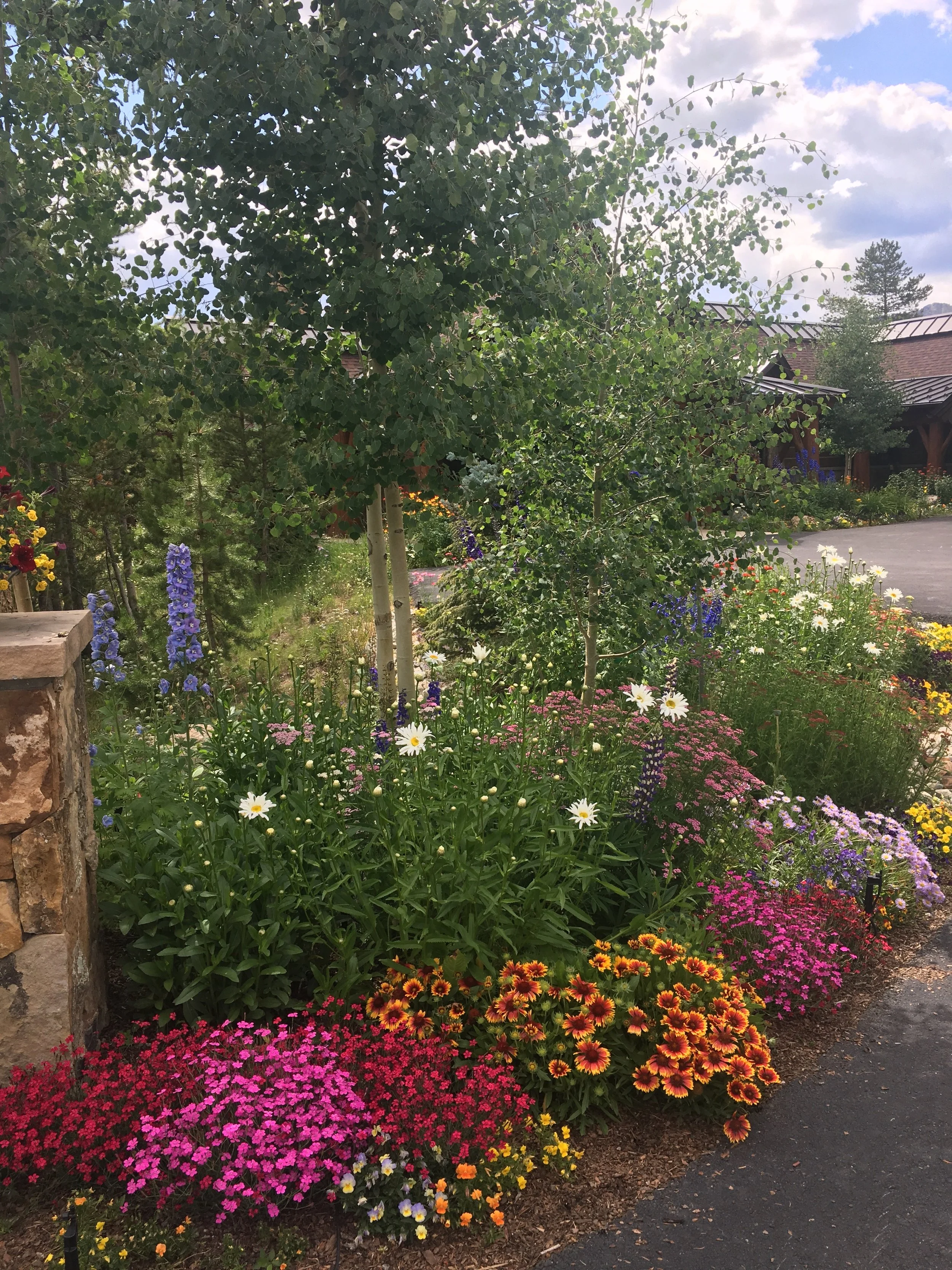 Colorful flower garden next to a stone wall and a paved pathway, with trees and a building with a metal roof in the background under partly cloudy sky.