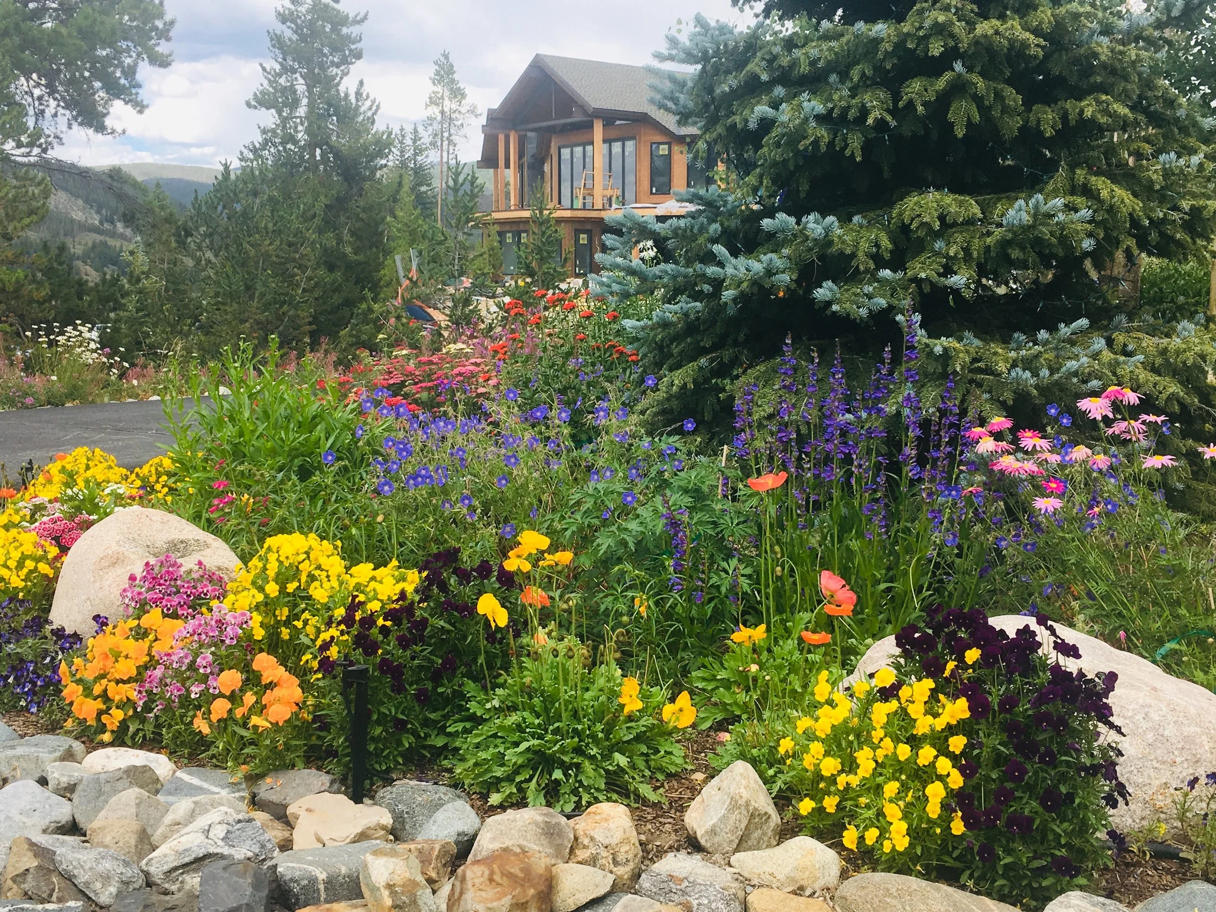 A colorful flower garden featuring a variety of blooms in yellow, purple, pink, and orange, with a stone border in the foreground. A house with large windows and a gray roof is partially visible in the background, surrounded by tall green trees and mountain scenery.