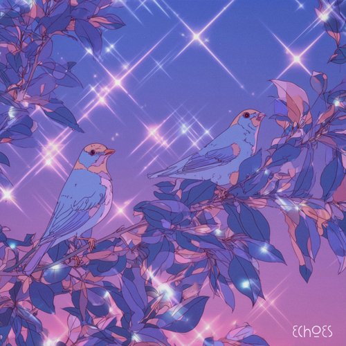 echoes cover