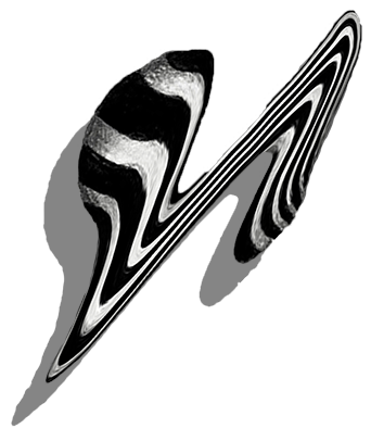 Abstract black and white marbled swirl pattern with sharp angles and curved shapes against a black background.