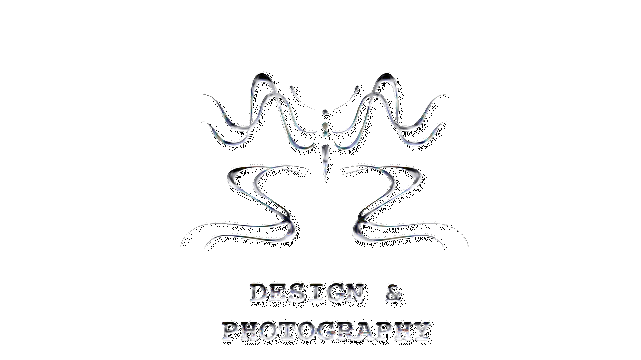 Stylized abstract butterfly logo with metallic silver accents, with the text 'Design & Photography' below.
