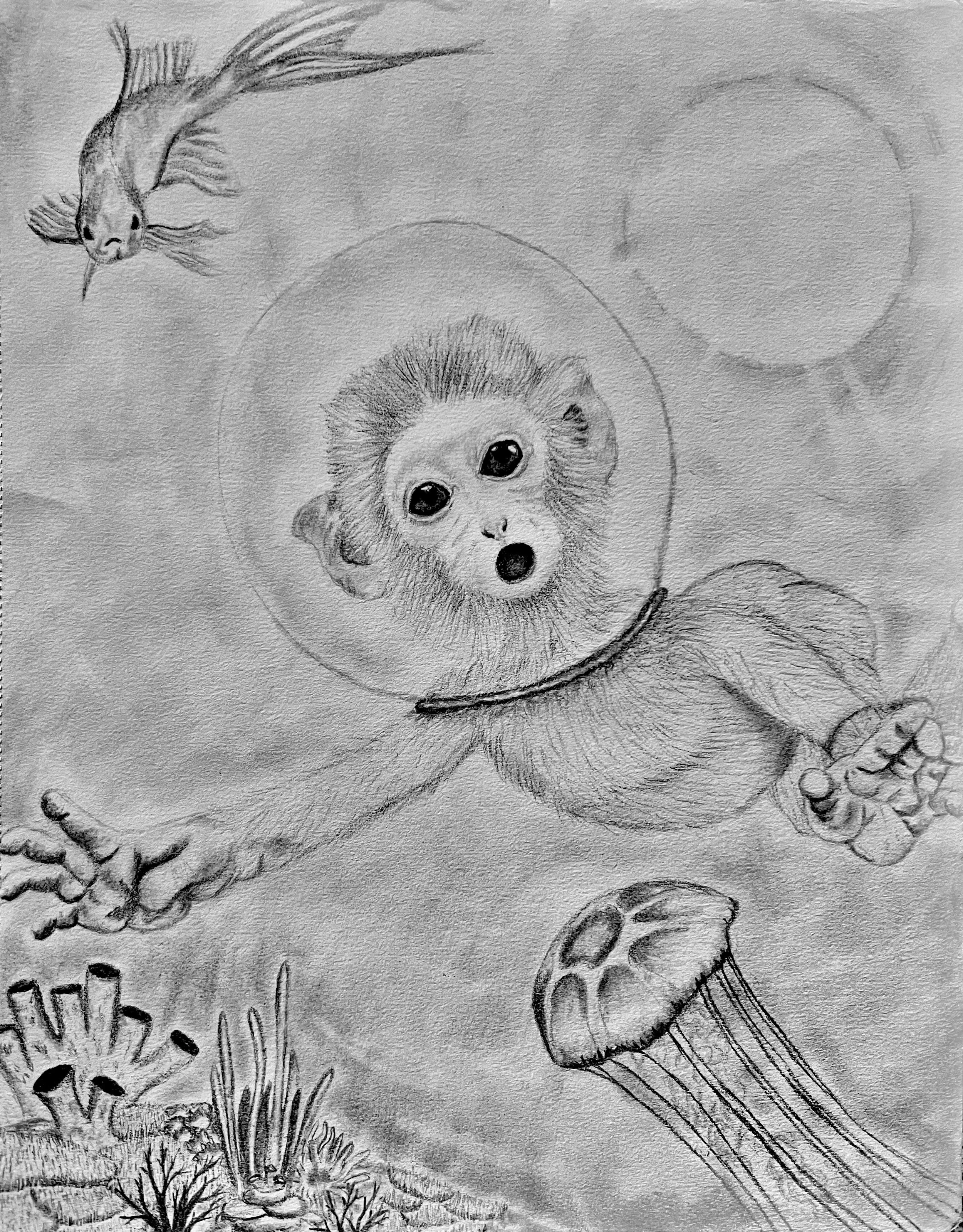 A pencil drawing of a hopping kangaroo with a baby joey in its pouch, landscape with trees, and a circular shape in the background.