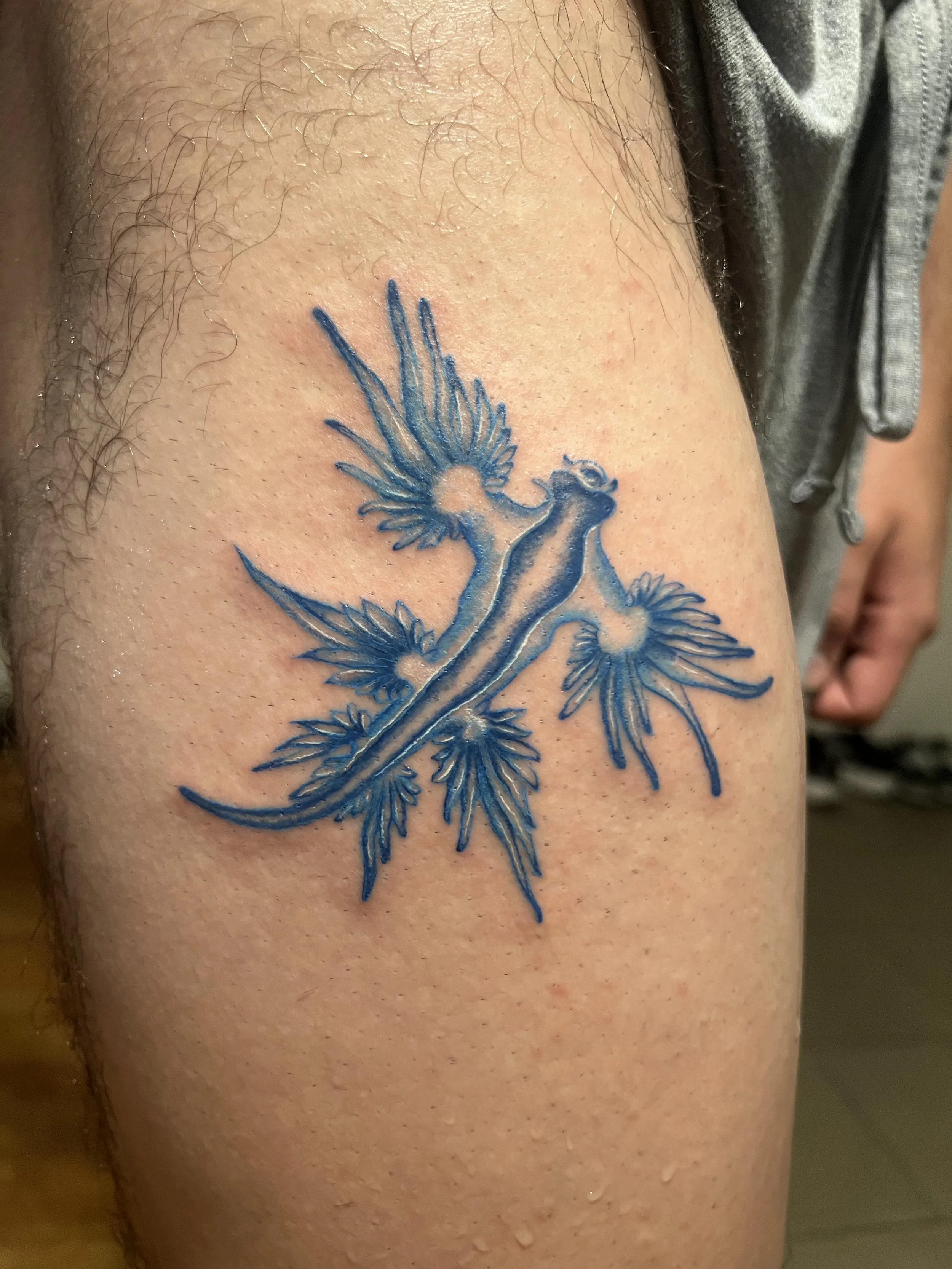 Close-up of a person's upper arm with a blue dragon tattoo.