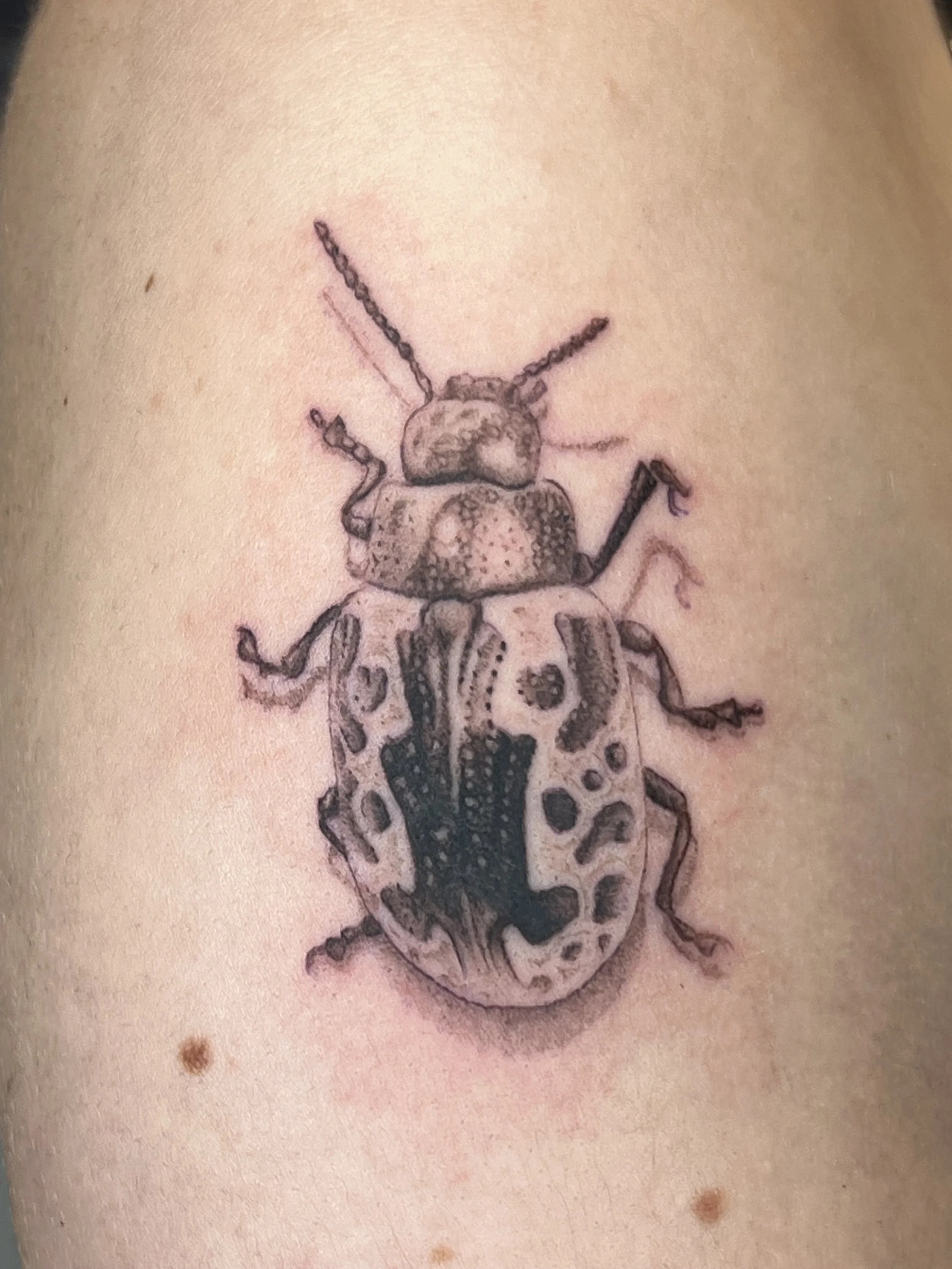A black and gray tattoo of a ladybug on a person's skin.