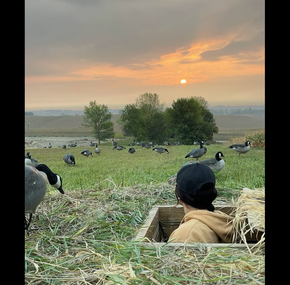 goose.png