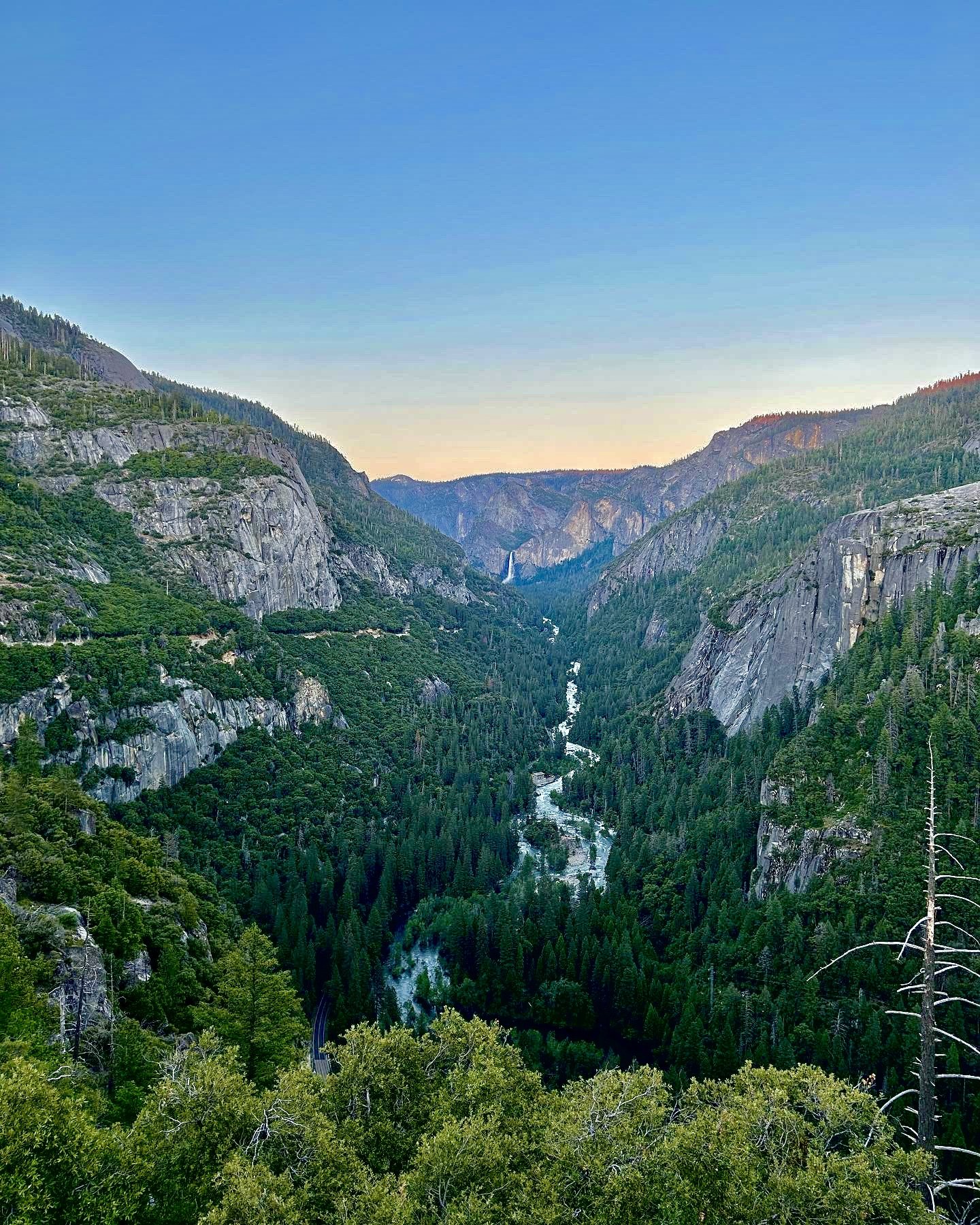 result_image-3.jpg