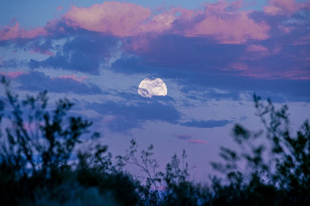 MOON
