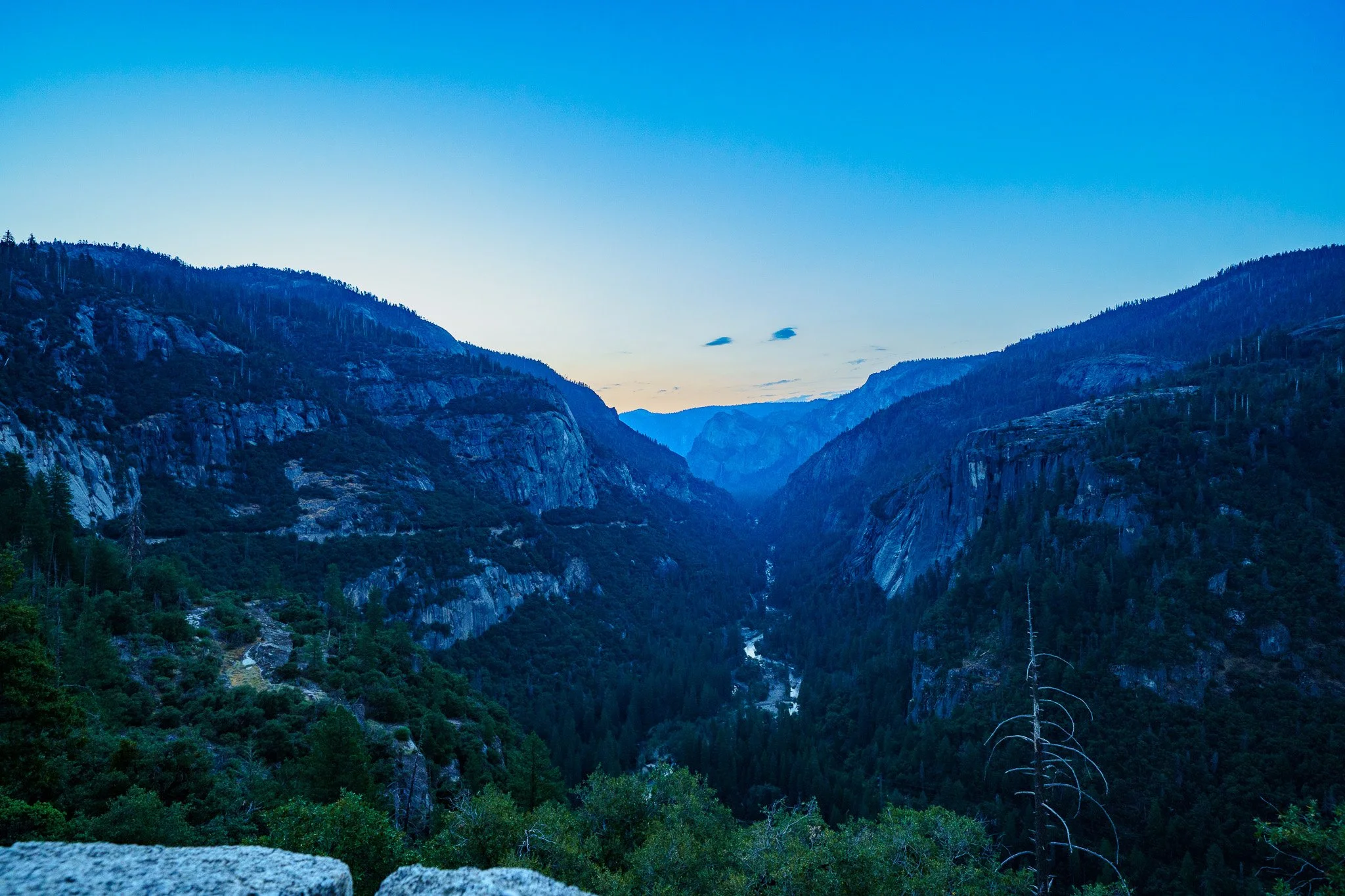 _DSC3072.jpg