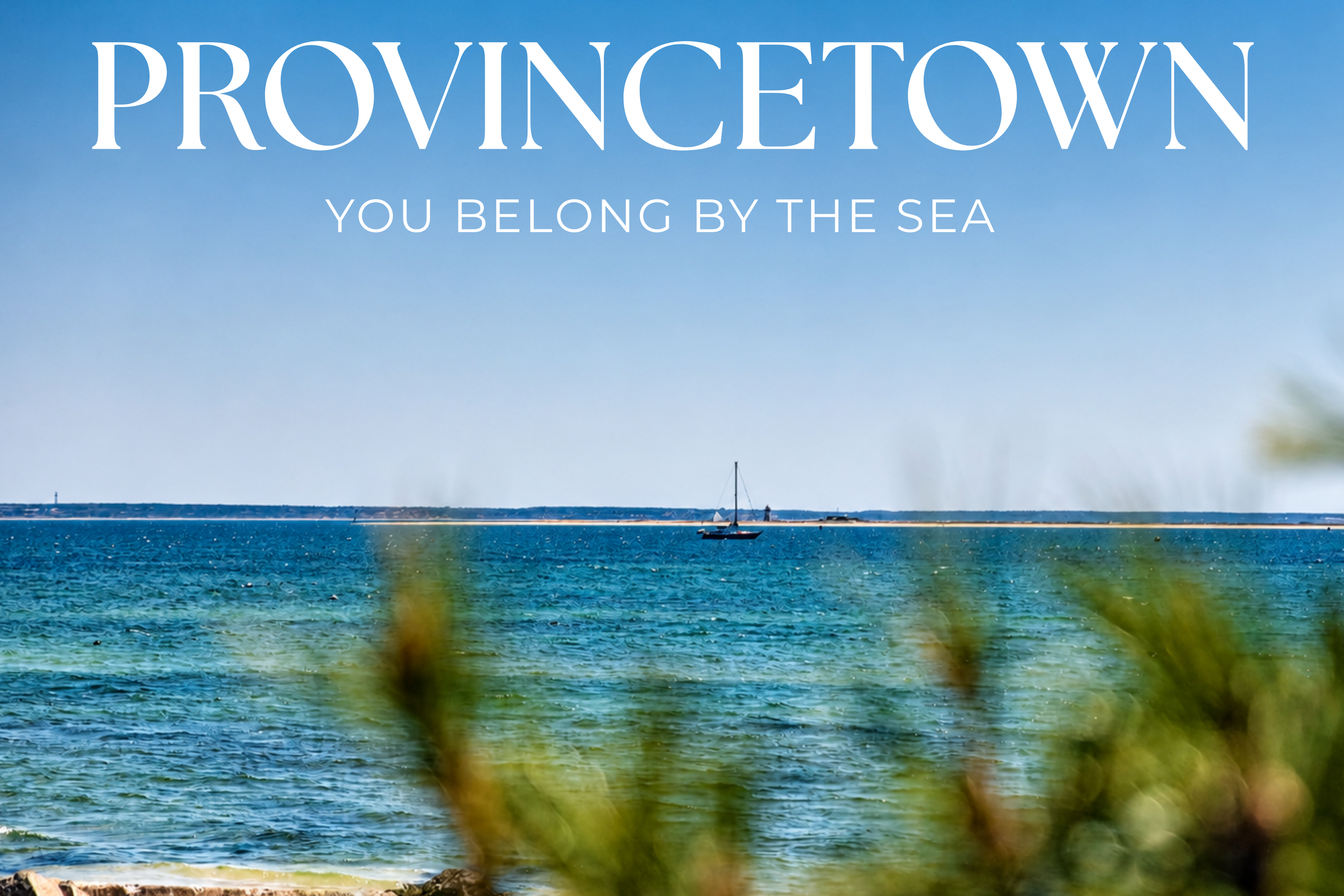 A scenic view of a marina or harbor with a sailboat on calm water under a clear blue sky. In the background, there is a breakwater or seawall and some land. The image has some out-of-focus greenery in the foreground.