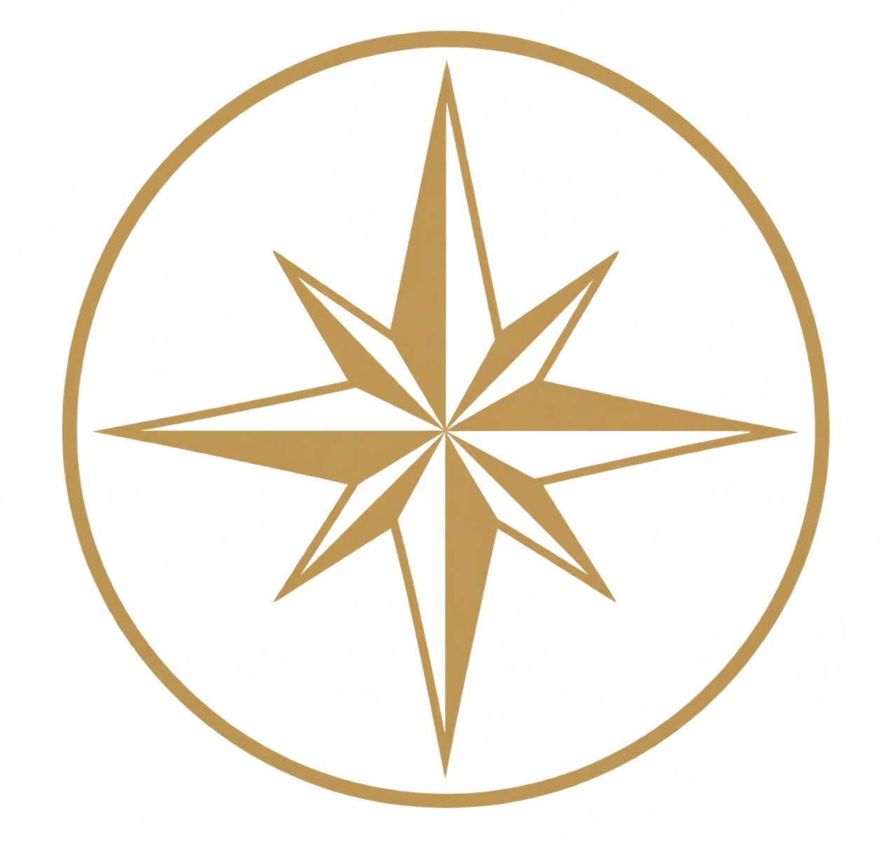A gold-colored compass rose over a background of a red and black circular pattern.