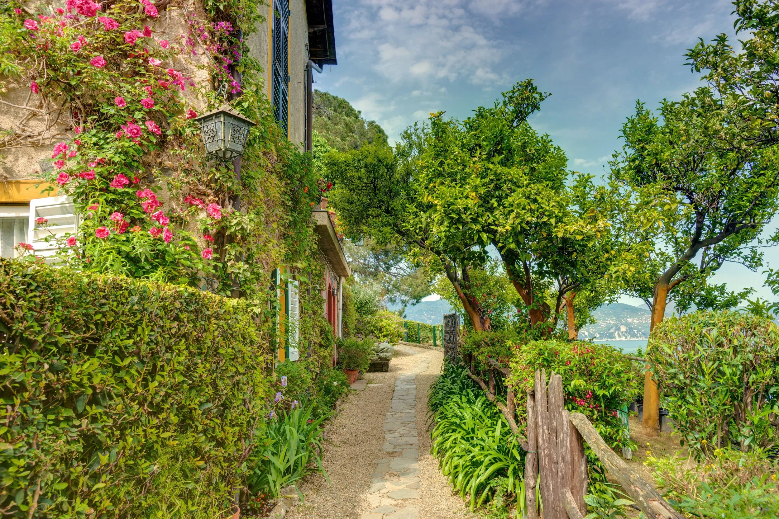 Charming garden path in Liguria, Italy, framed by colorful flowers and lush greenery.
