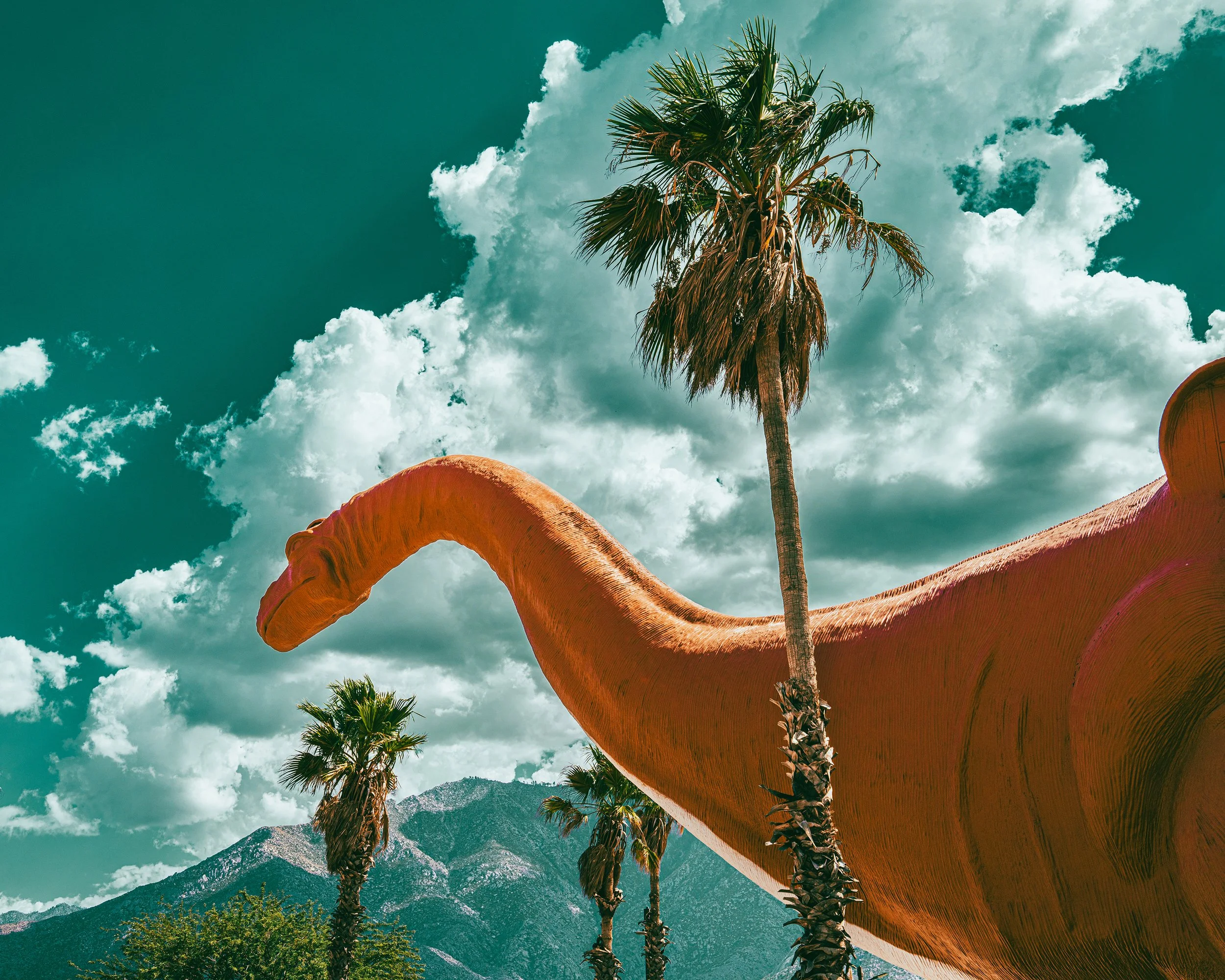2025_9-14-25_JoshuaTree_11PS.jpg