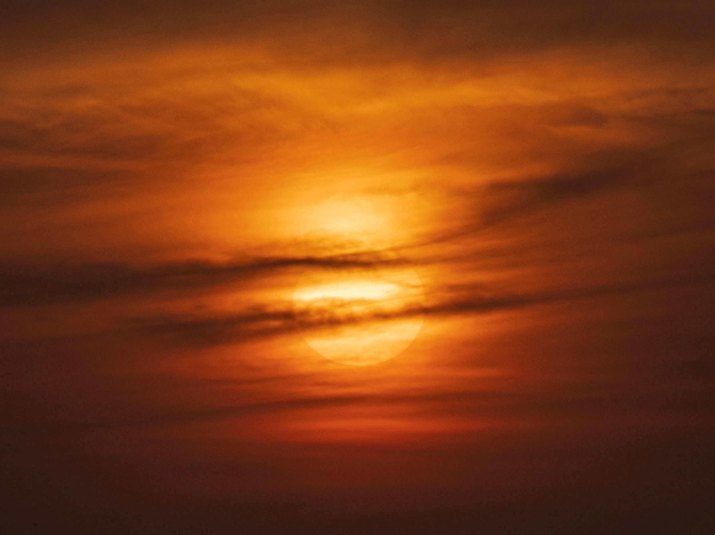 DSC05389.JPG