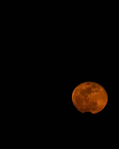 2026_FebFullMoon_5.JPG