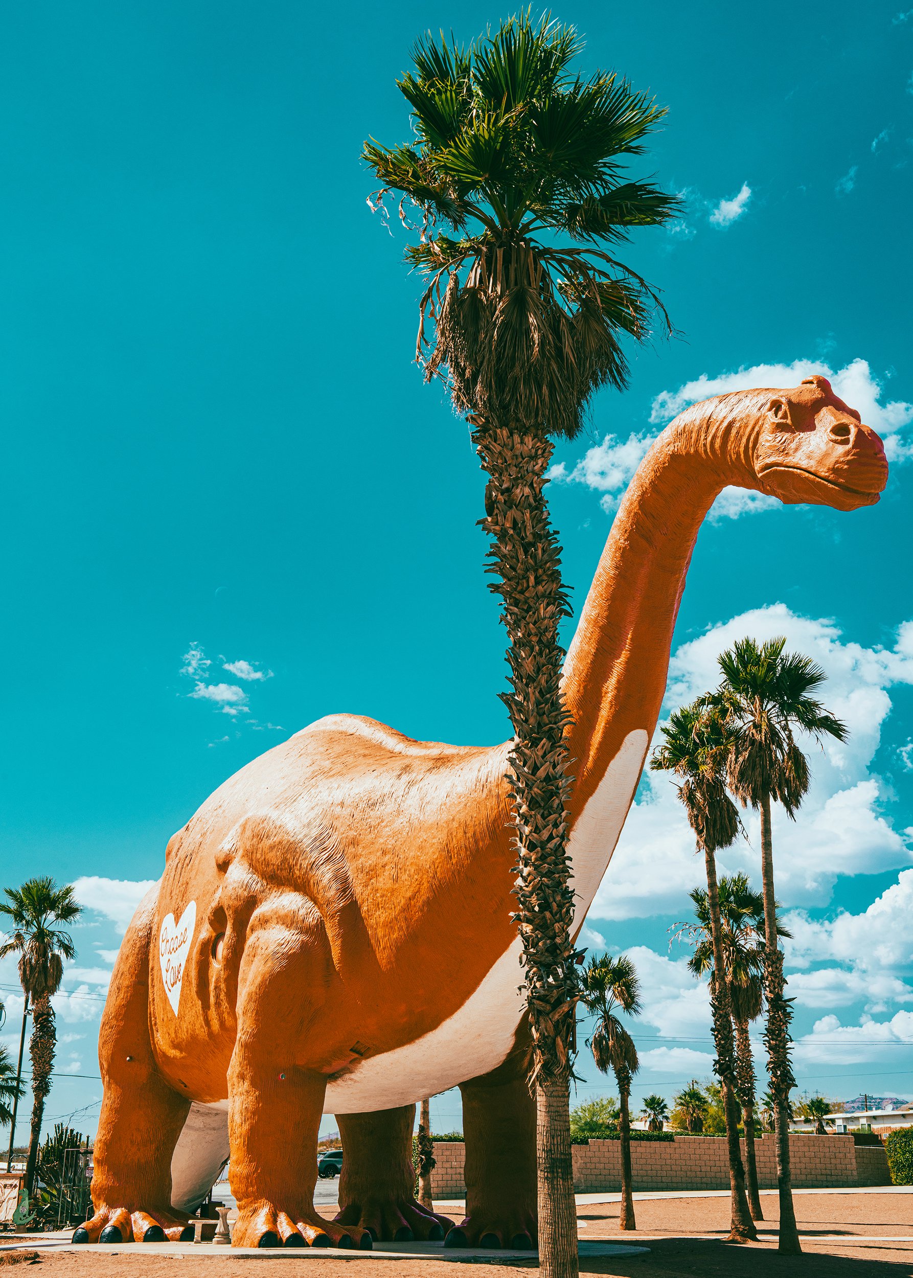 2025_9-14-25_JoshuaTree_12PS.jpg