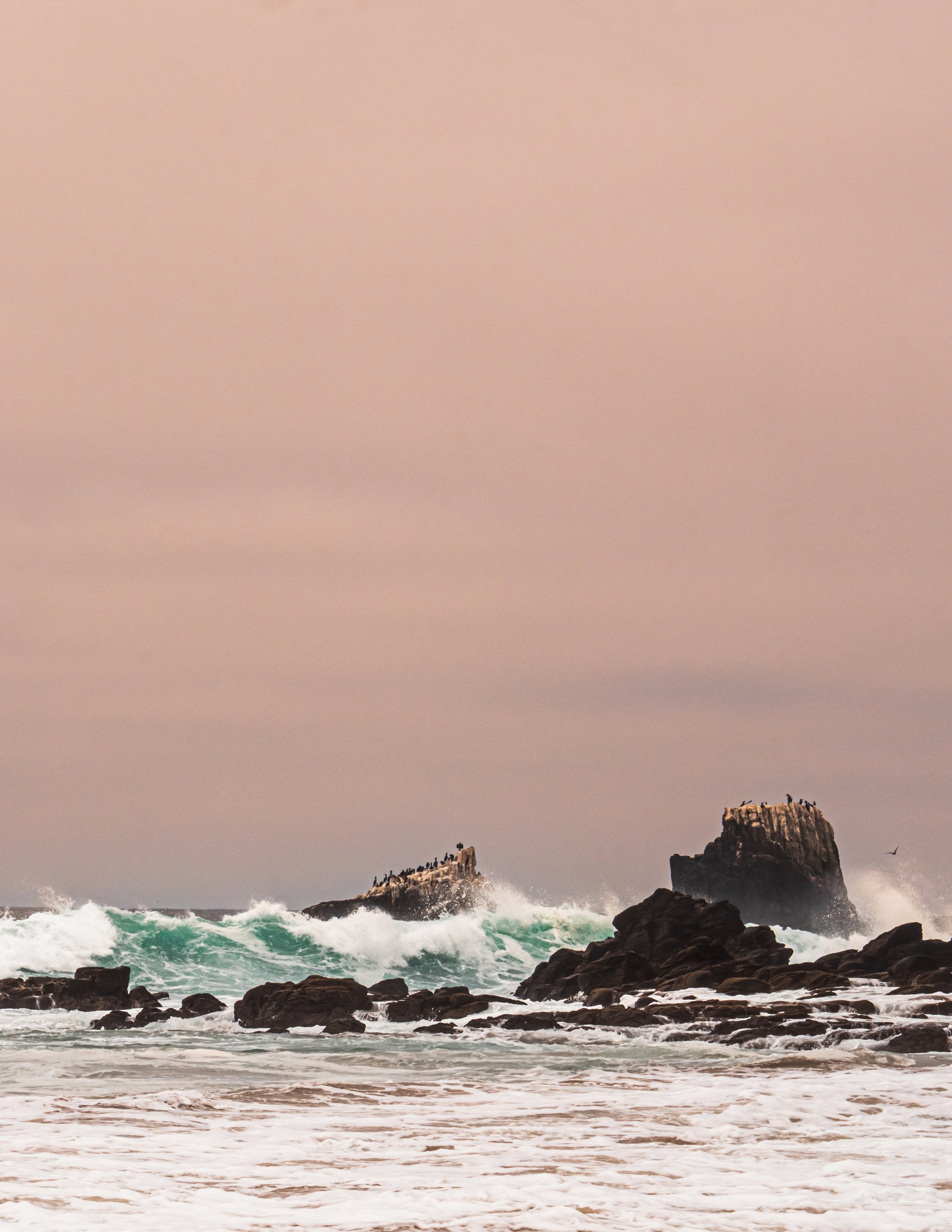 2026_Laguna_5PS.JPG