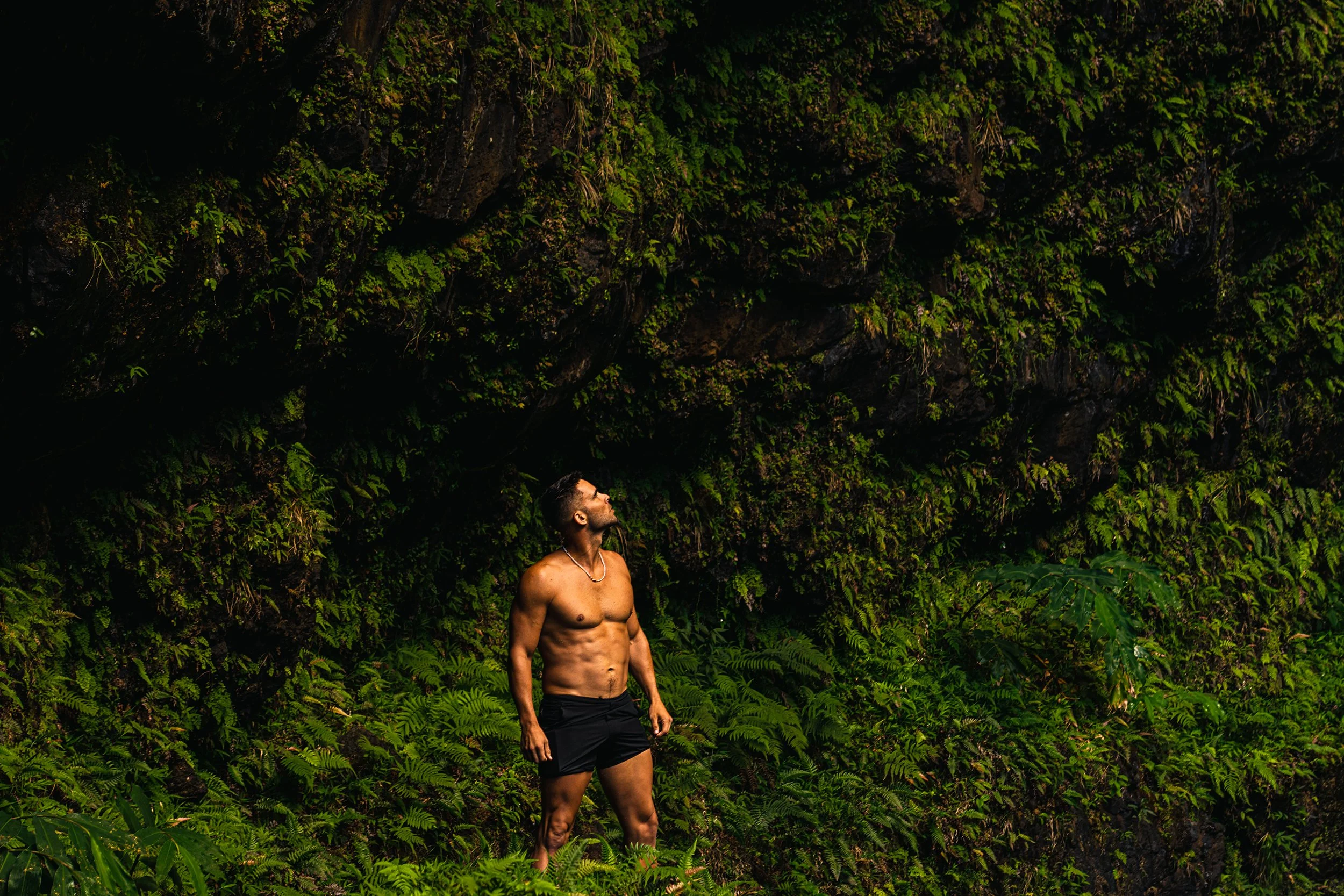 Kauai36website.jpg