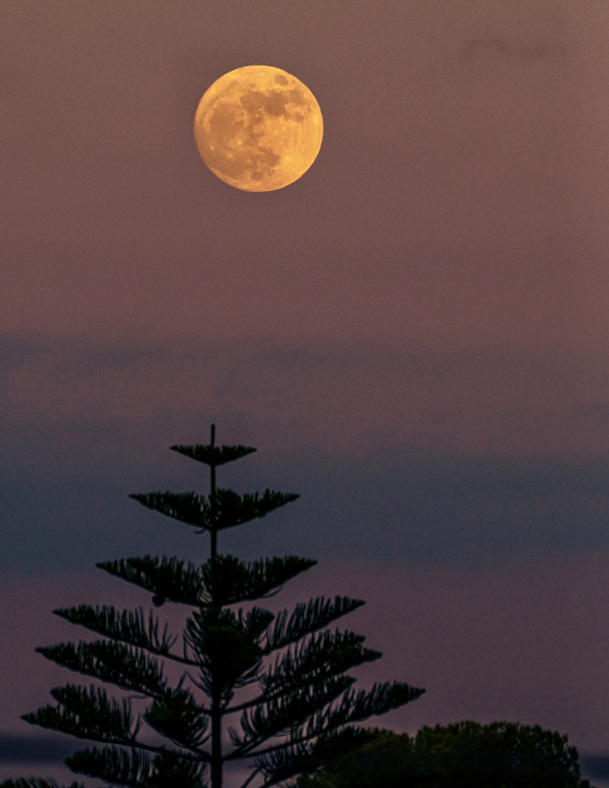2026_StrawberryMoon_1PS.jpg