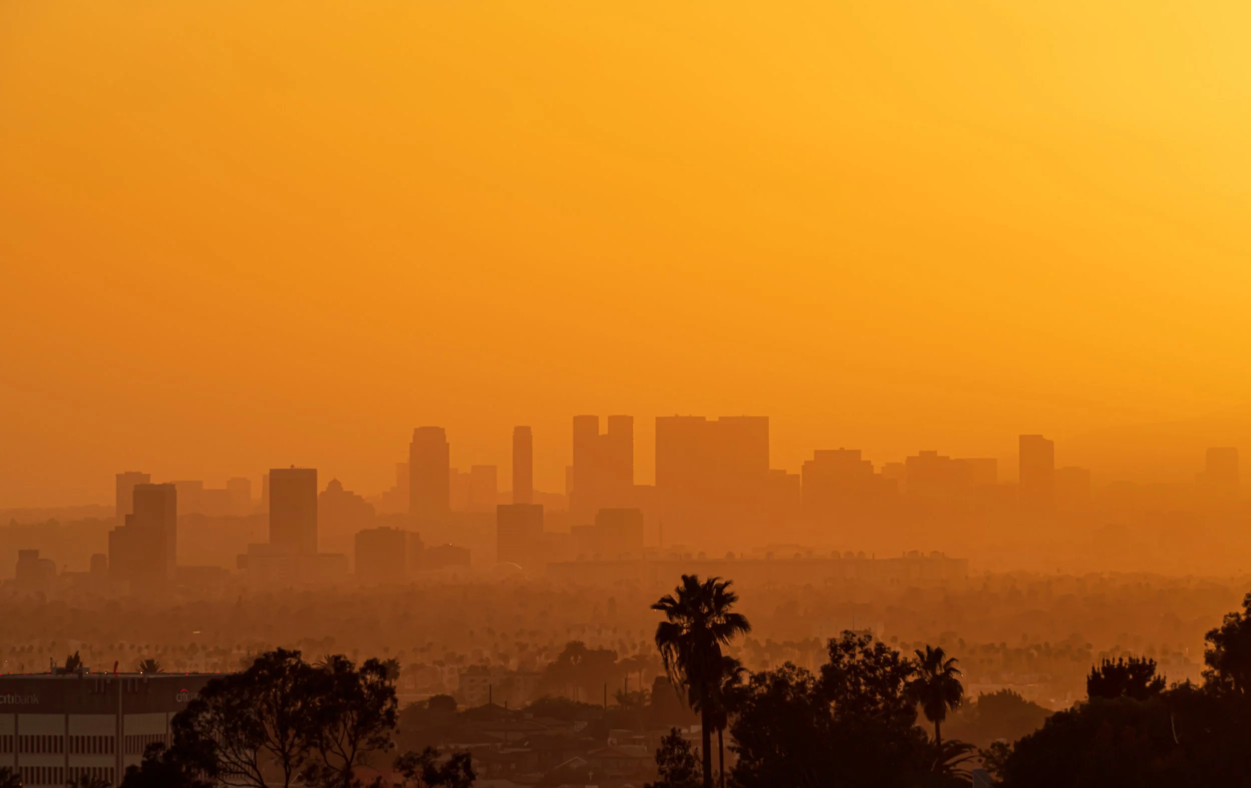 Elysianpark2-02787_PS.JPG