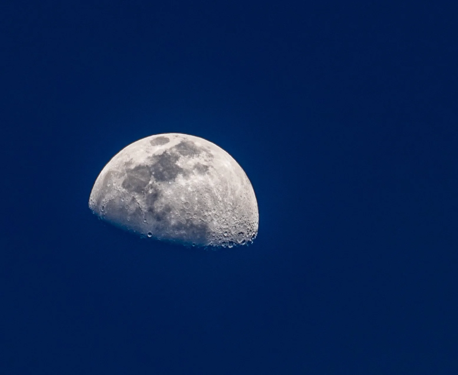 ElysianparkMoon-02802.JPG