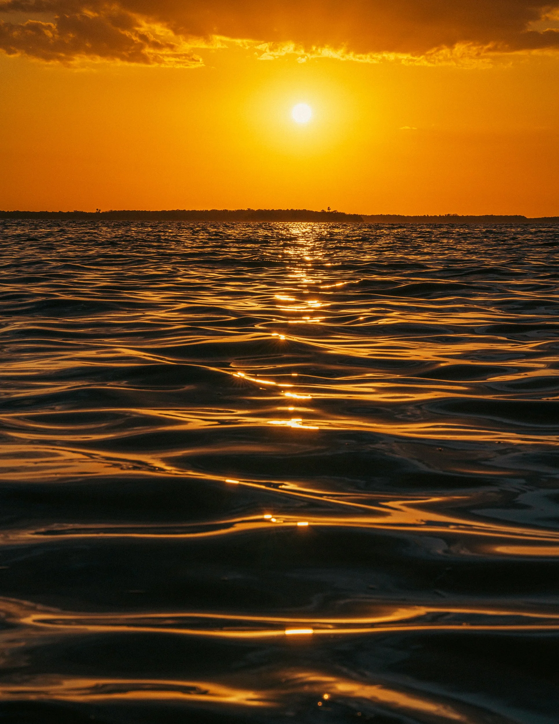 2025_DunedinSunset2PS.jpg