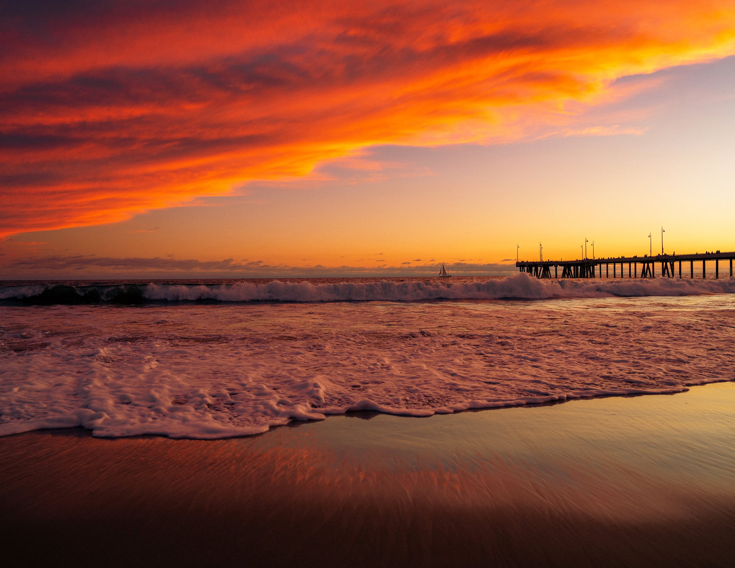 2026_AugustJamieBeach-15website.jpg