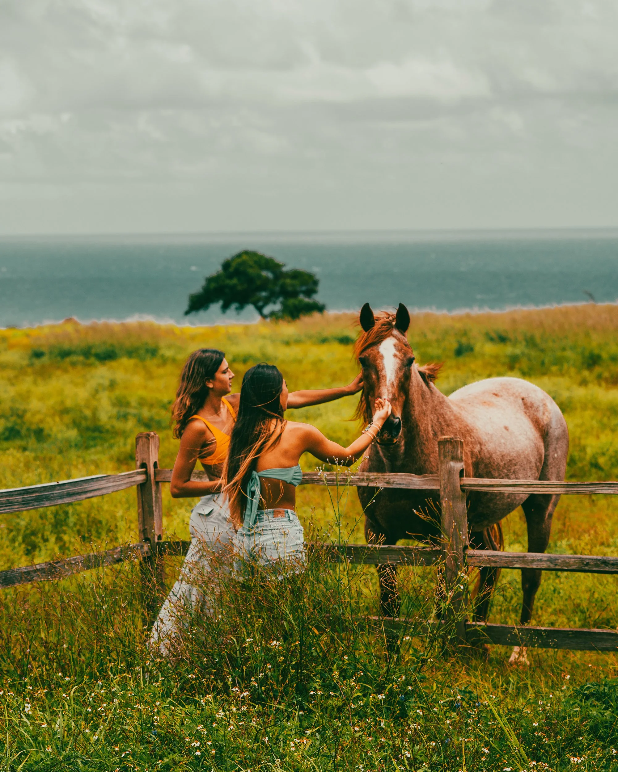 girlswithhorsewebsite.jpg