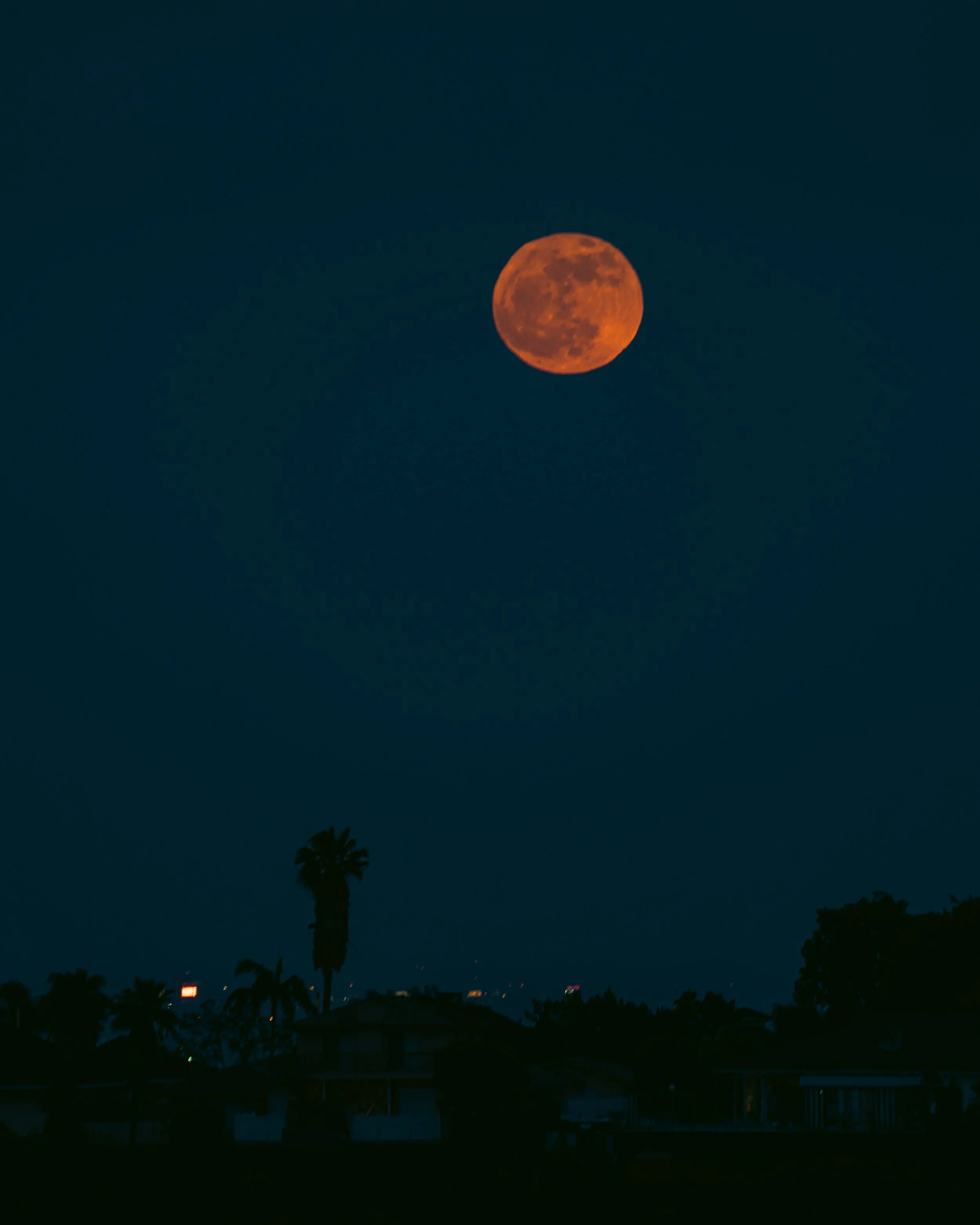 Strawberrymoon1.5PS.JPG