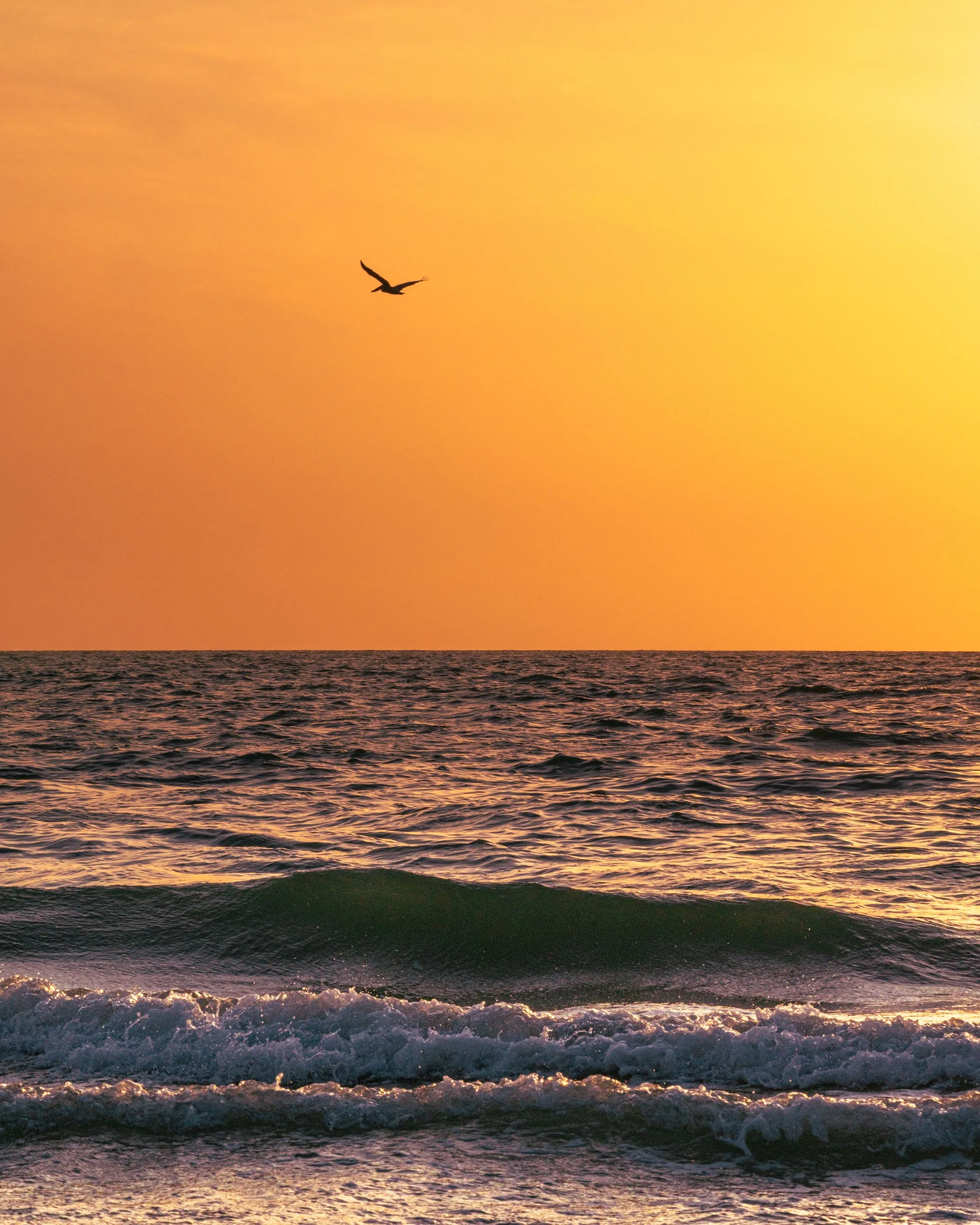 2025_Lastsunset9PS.jpg