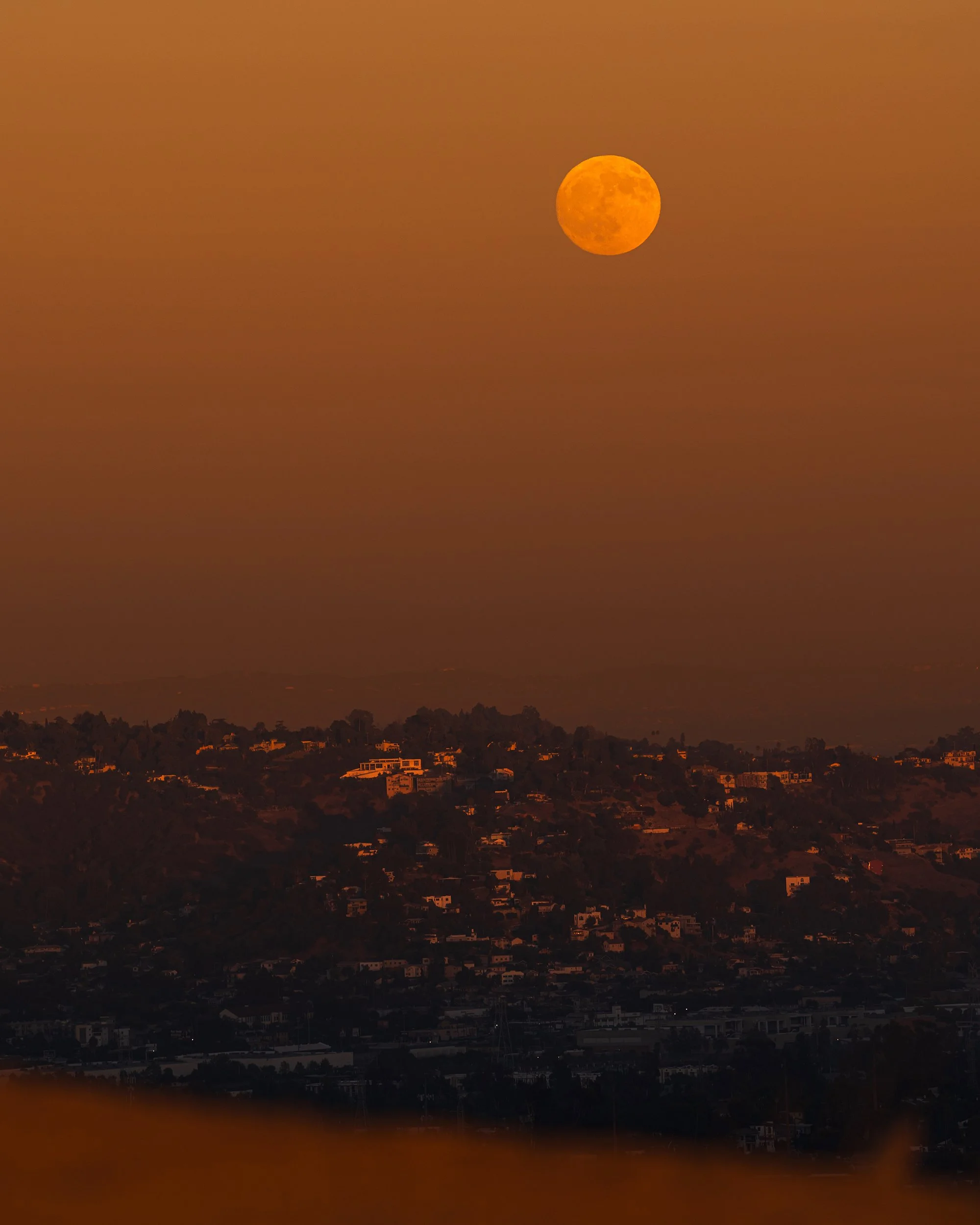 2025_GriffithFullMoon_9PS.jpg