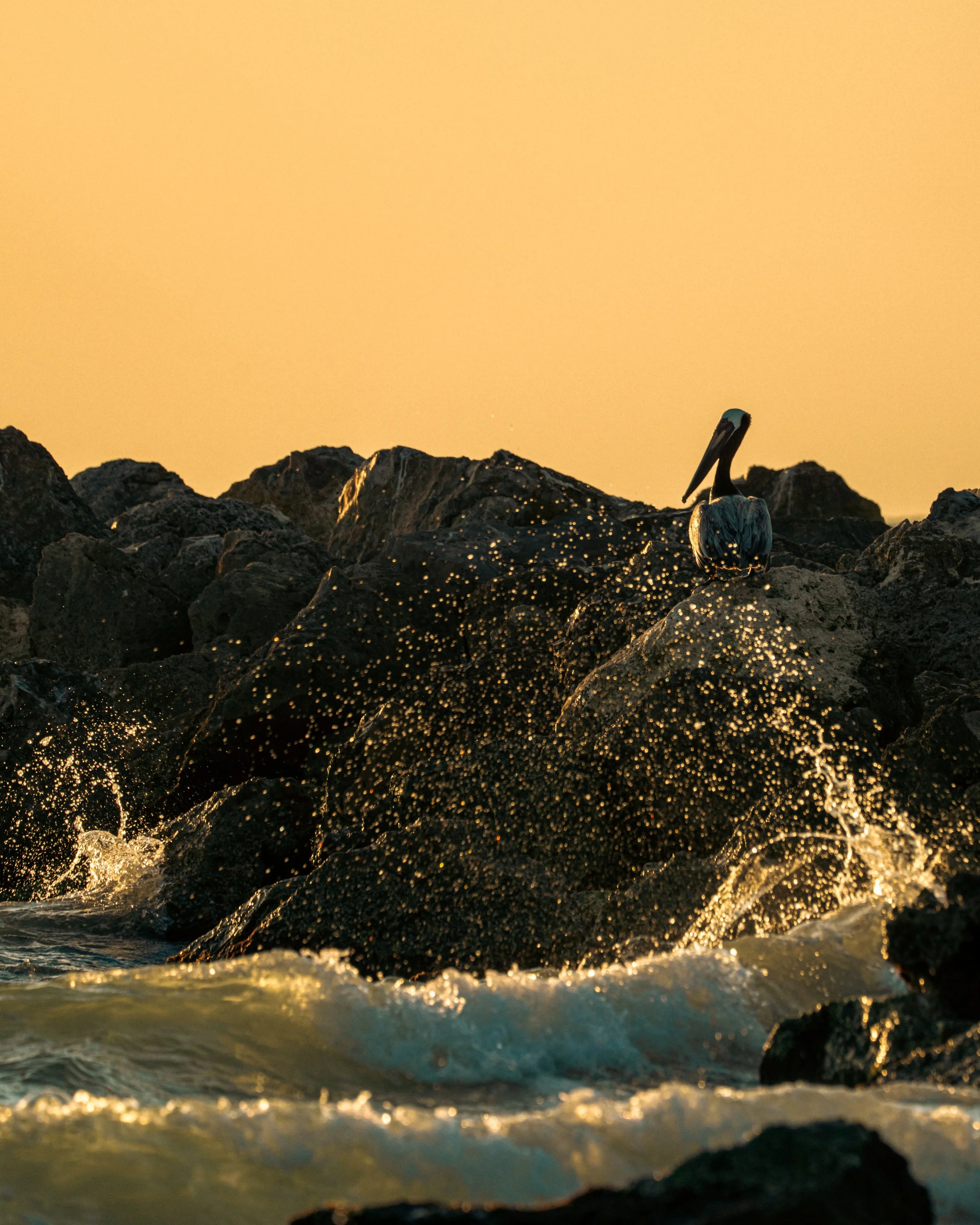 2025_SandKeySunset9PS.JPG