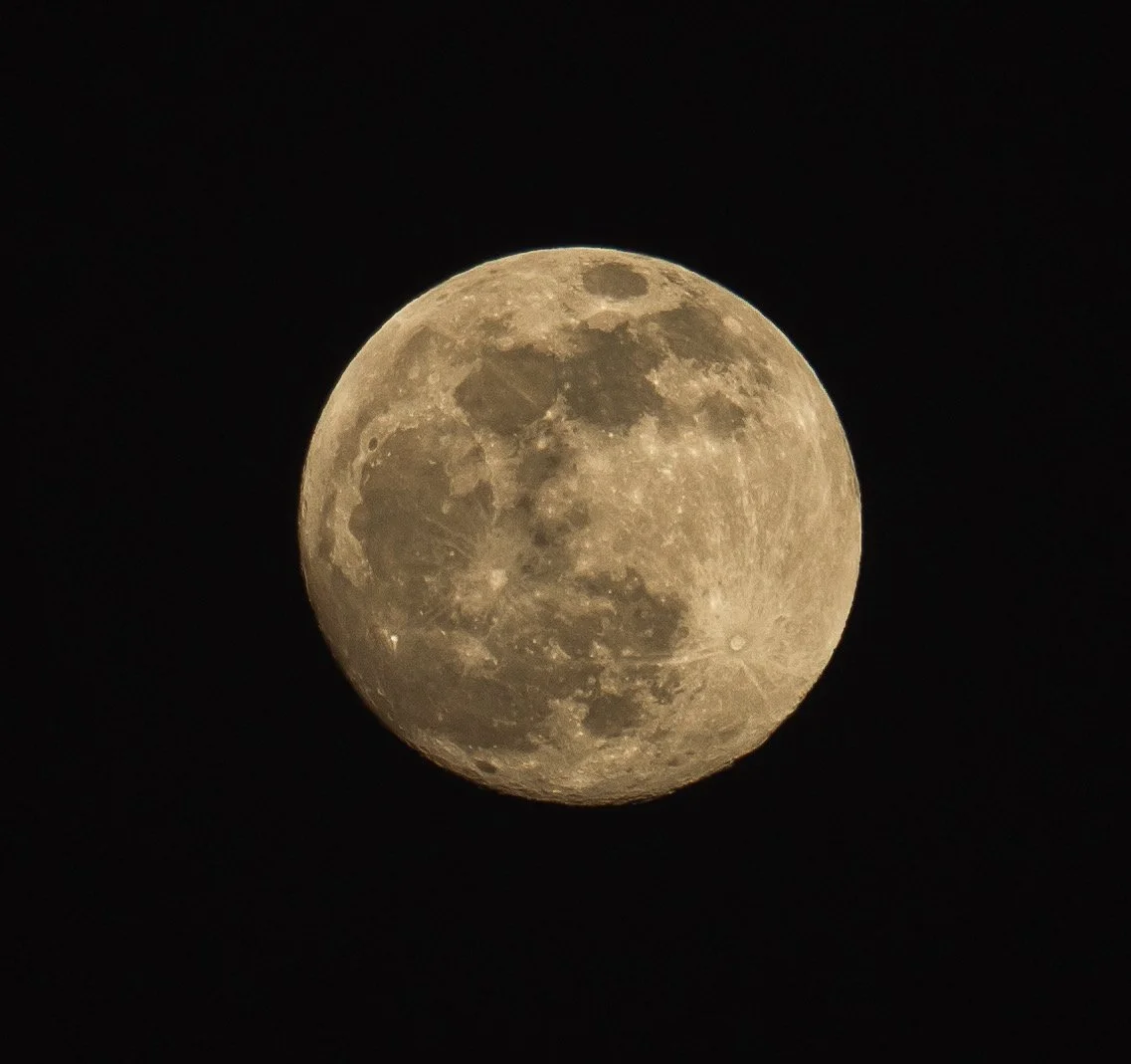 DSC07528.JPG
