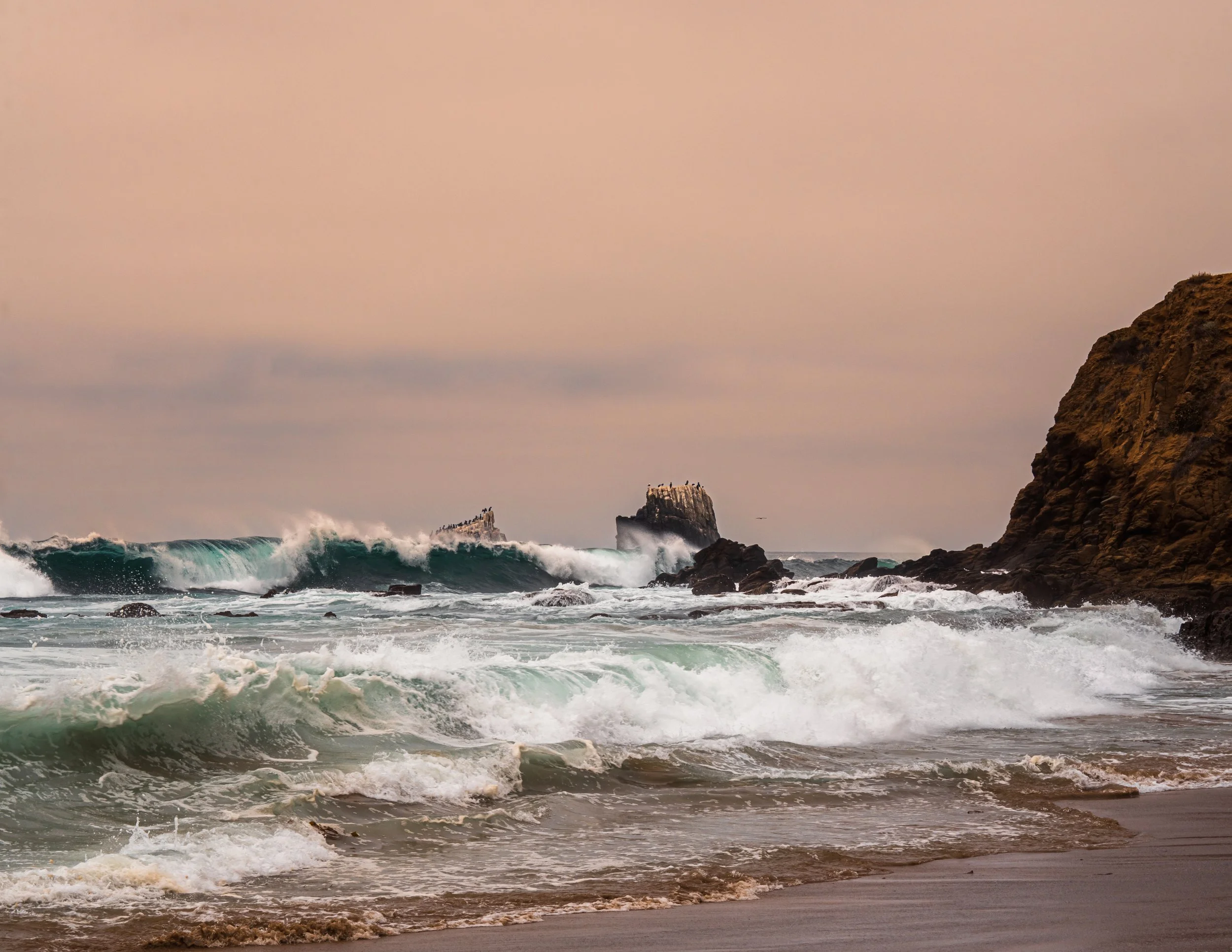2026_Laguna_6PS.JPG