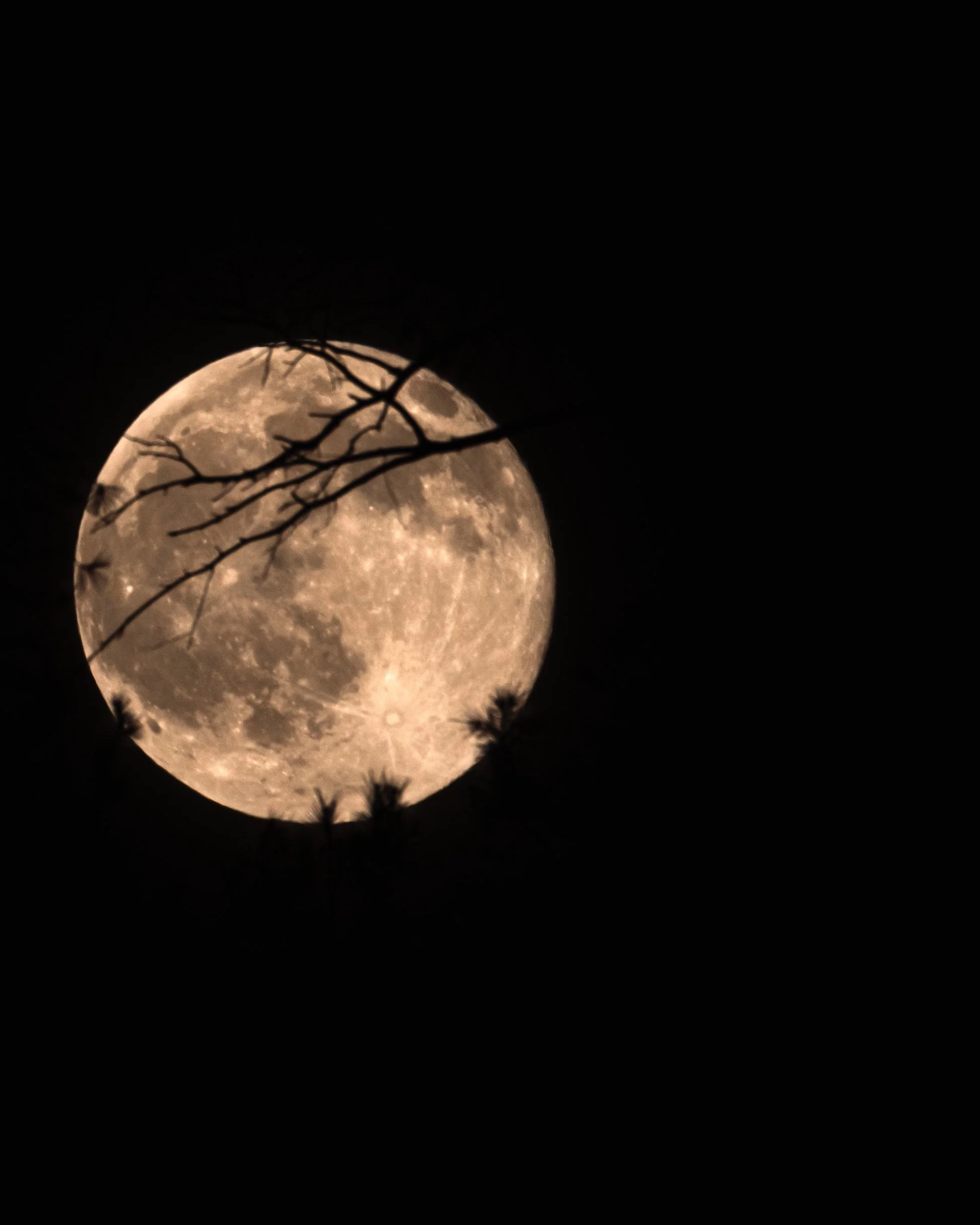 2026_HarvestMoonSunset_22.JPG