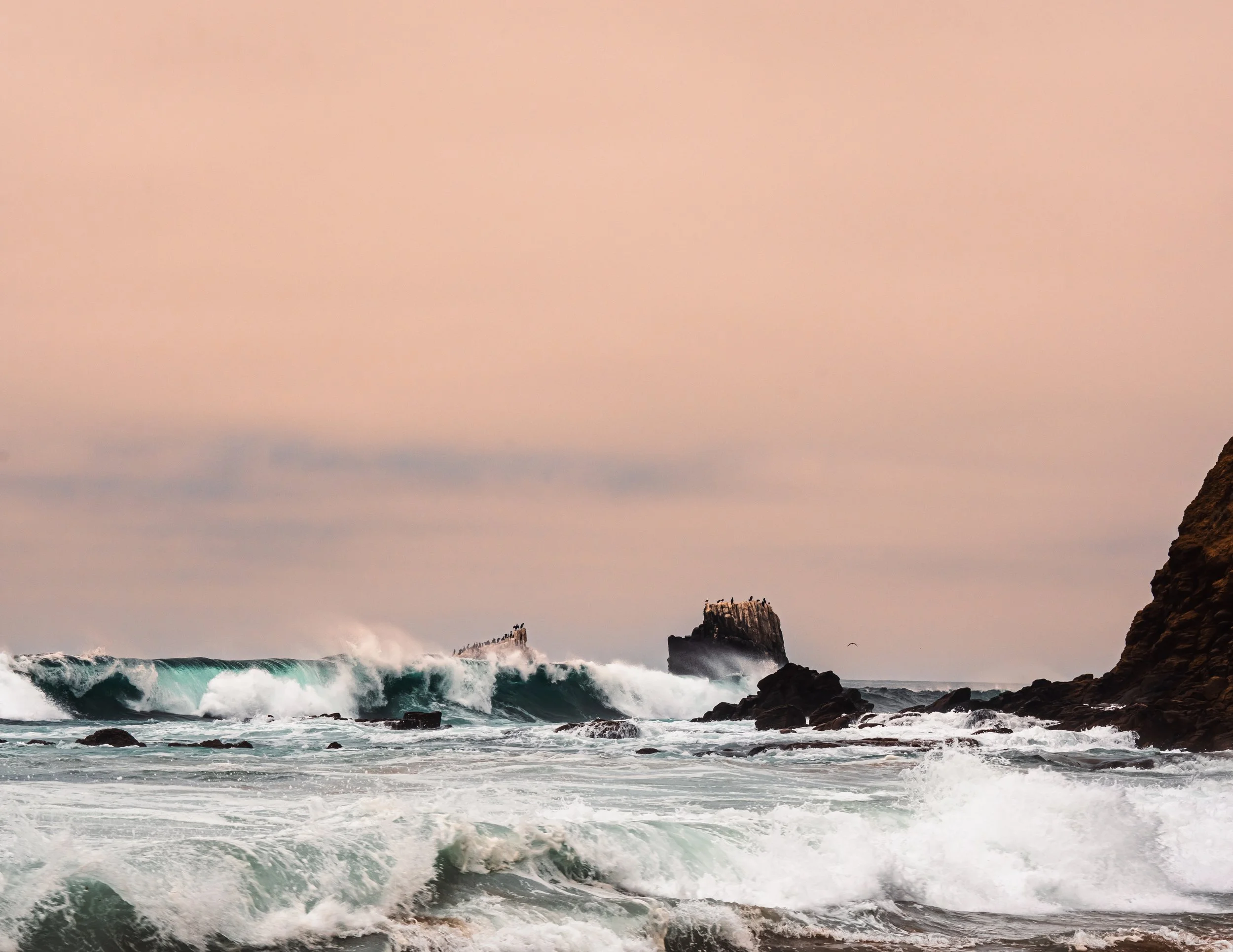 2026_Laguna_1PS.JPG