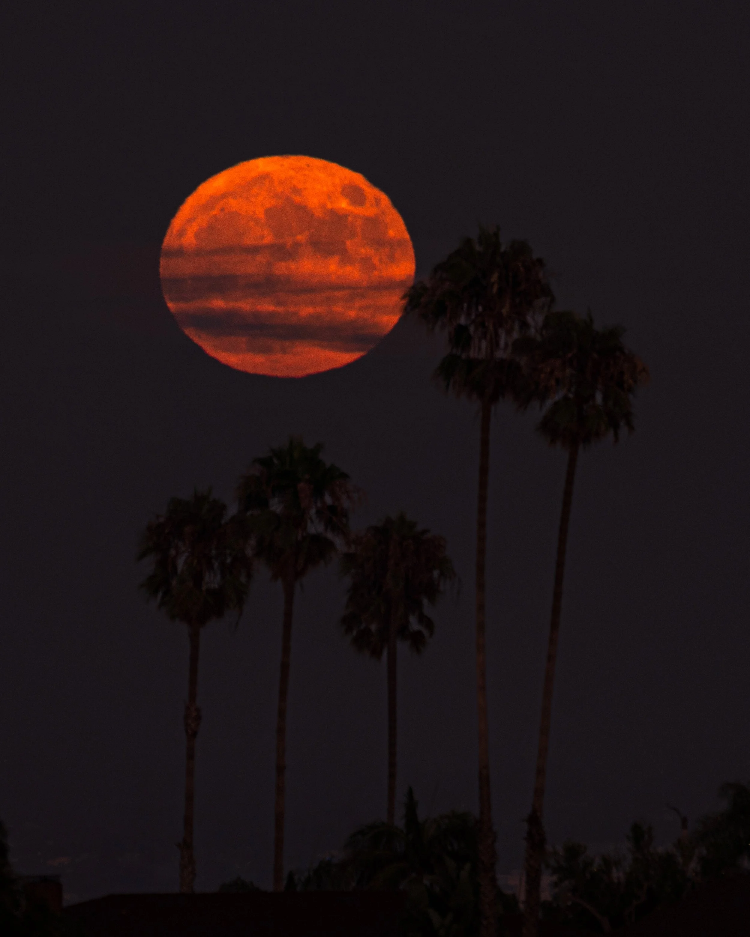 BlueMoon1PS.JPG