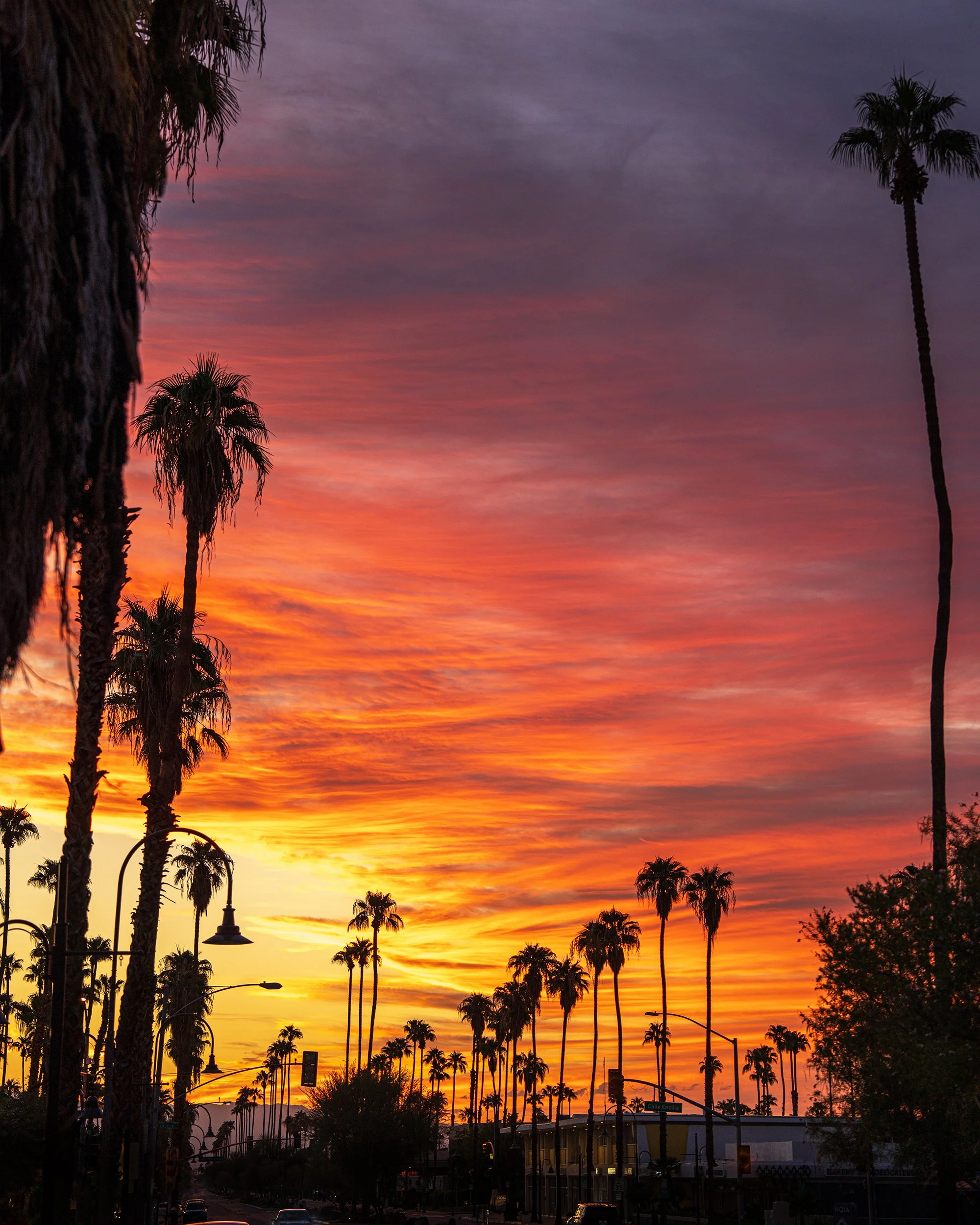 2025_9-14-25_JoshuaTree_25PS.jpg