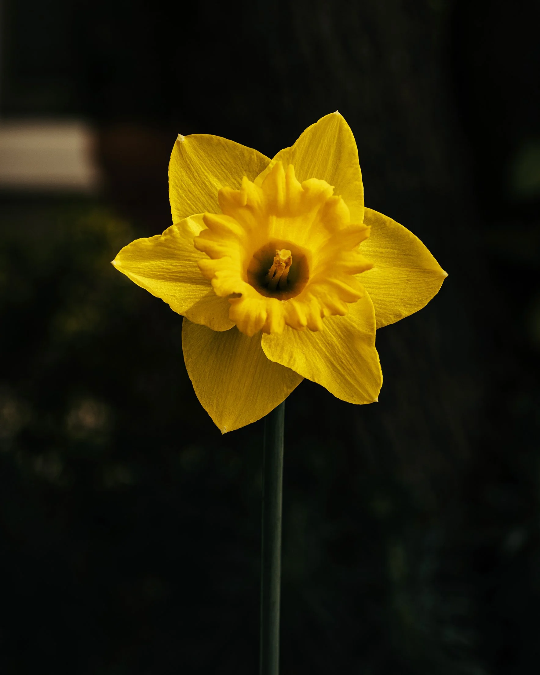 2.25-5PSWebsite.jpg