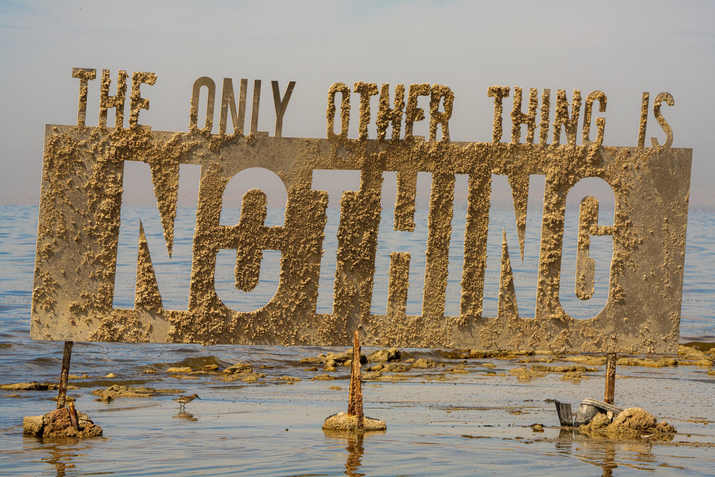 Saltonseanothing-04930.jpg