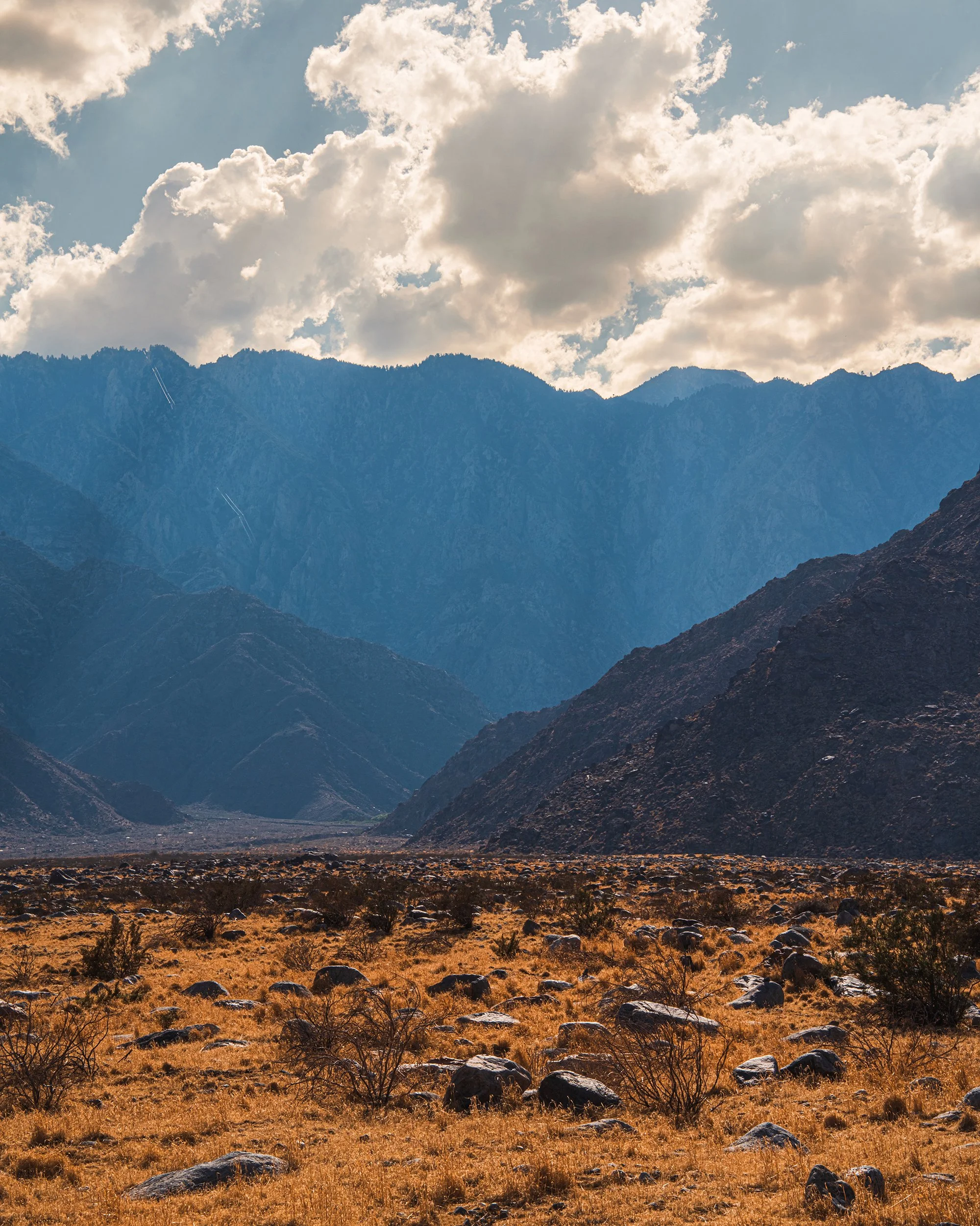 2025_9-14-25_JoshuaTree_18PS.jpg
