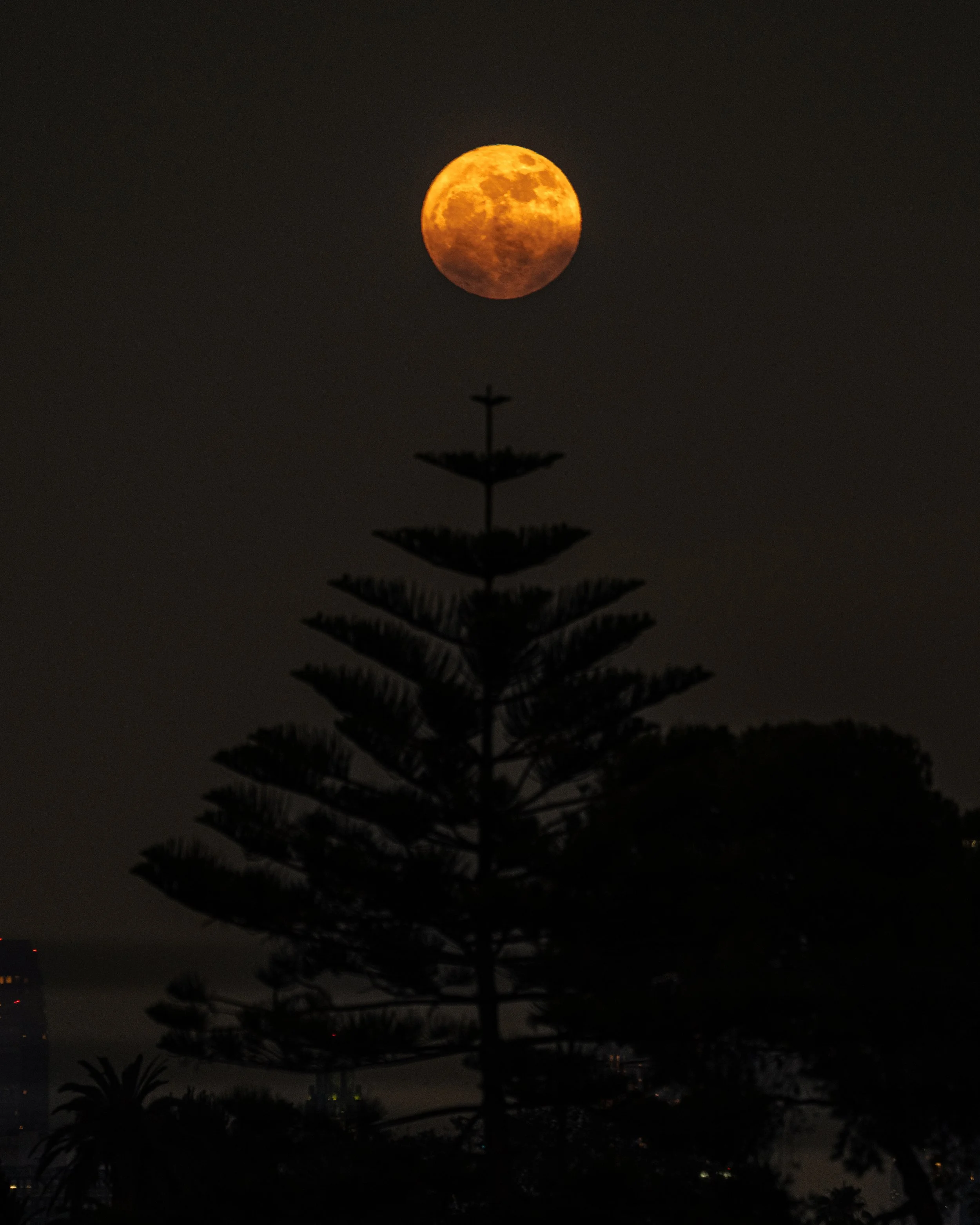 2025_StrawberryMoon1PS.JPG
