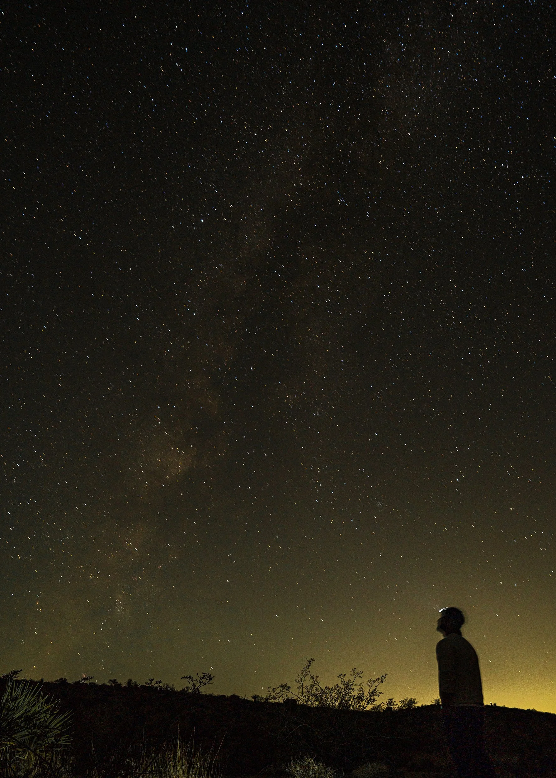 2025_9-14-25_JoshuaTree_7PS.jpg