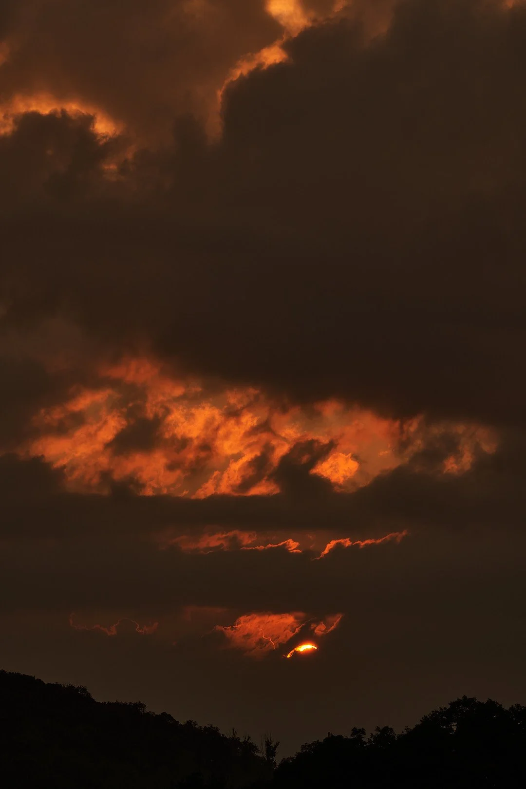 DSC08219.JPG