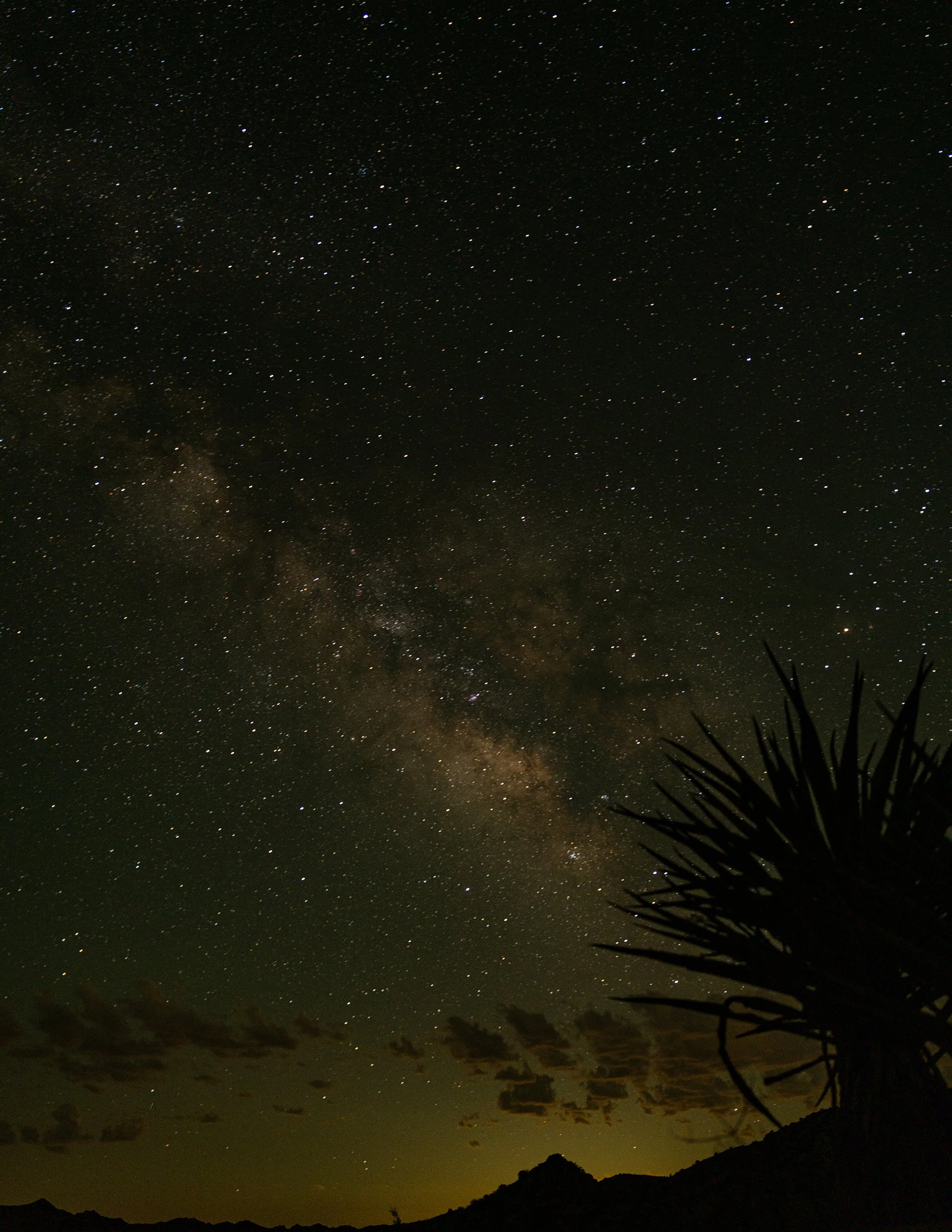 2026_JTMilkyWay_3PS.jpg