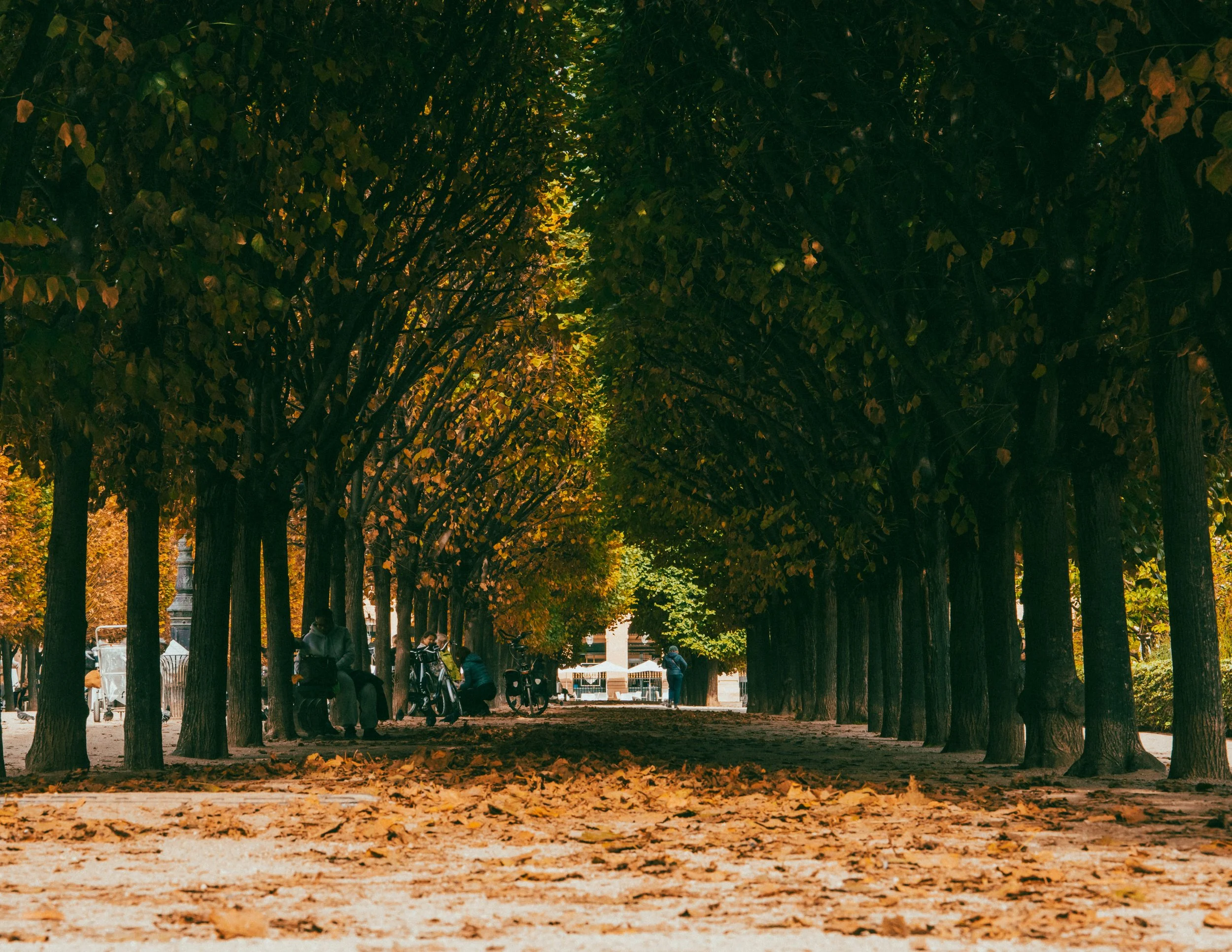 Paris-42.JPG