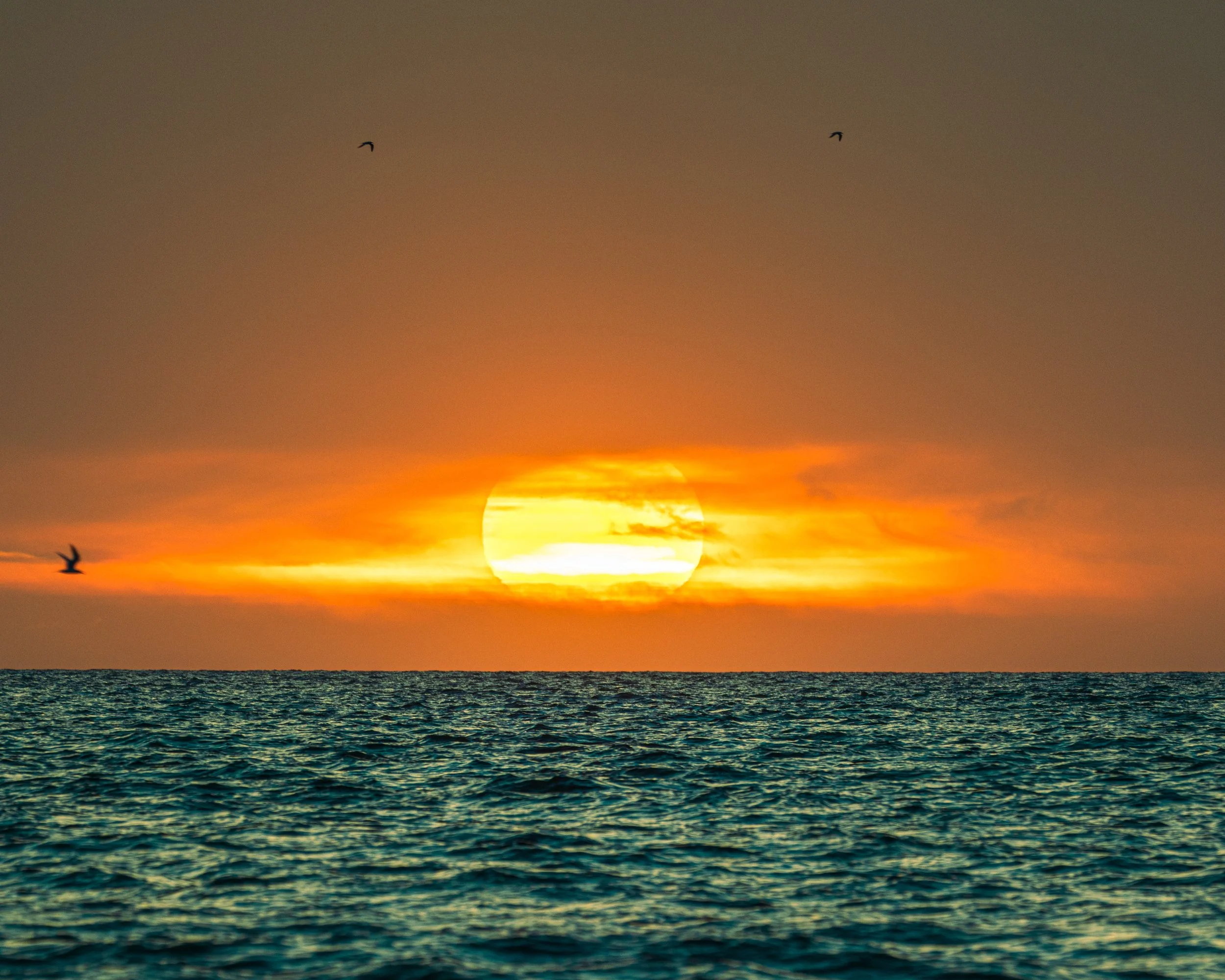 2025_Lastsunset2PS.JPG