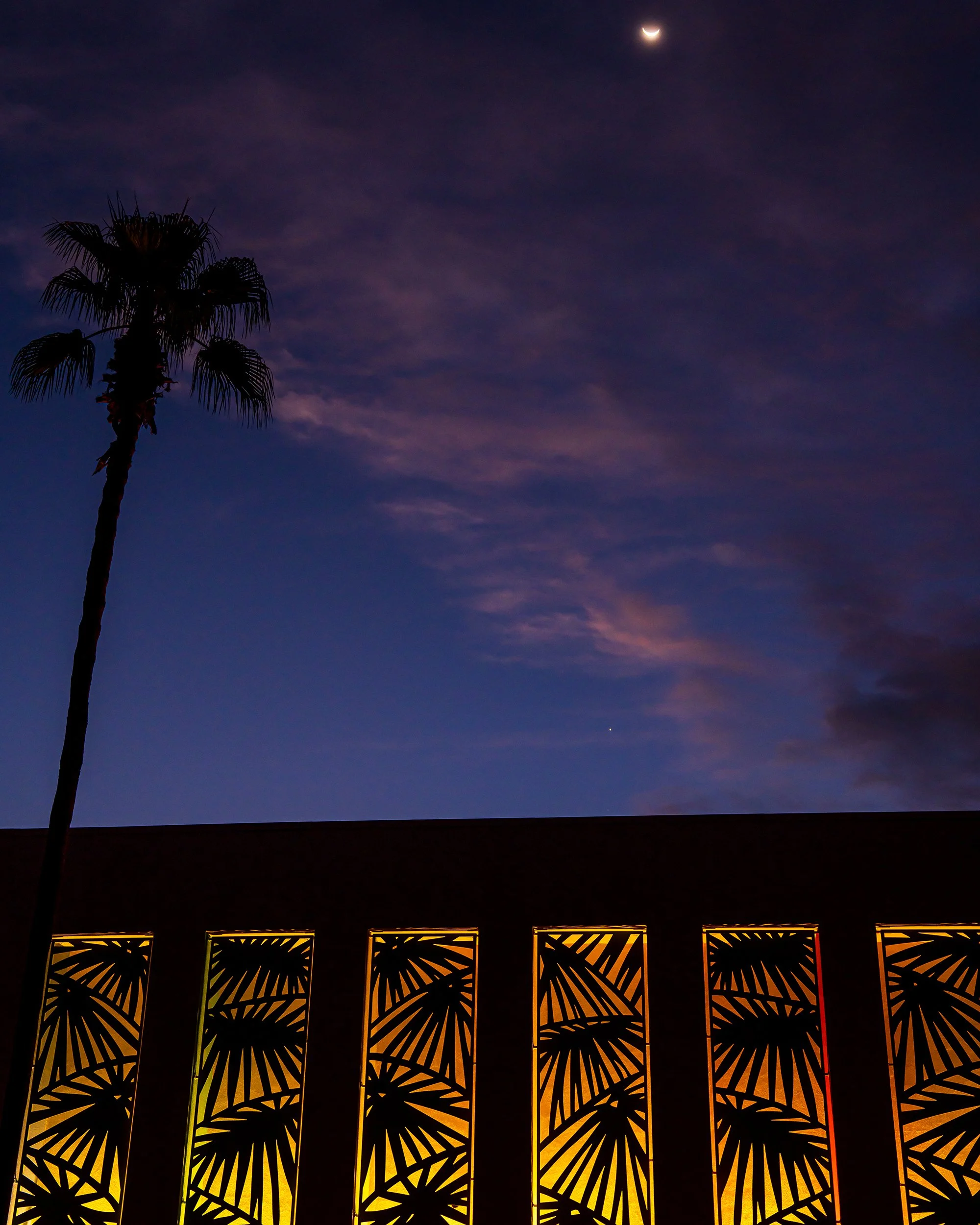 2025_9-14-25_JoshuaTree_23PS.jpg