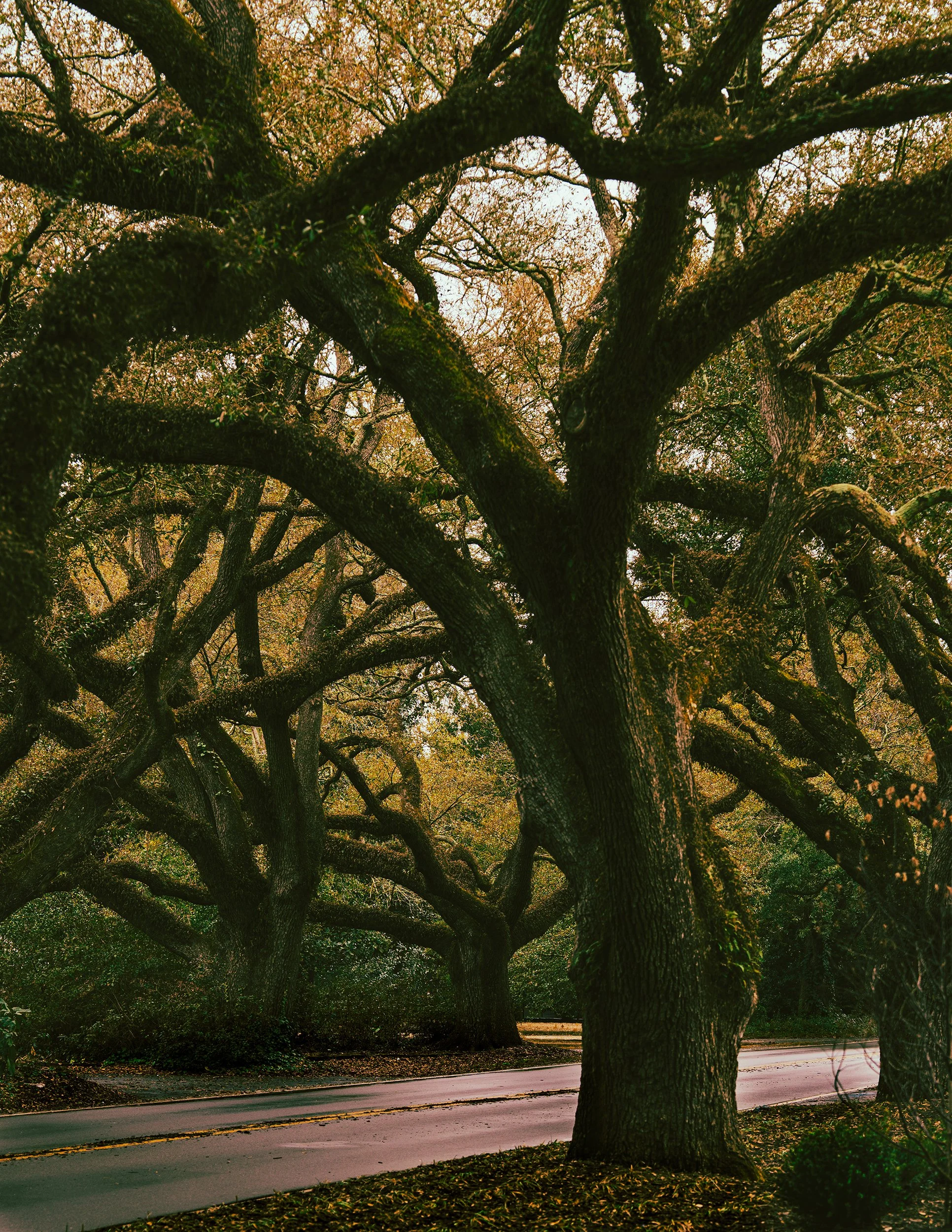 2026_CarolinasFeb2026_78PS.jpg